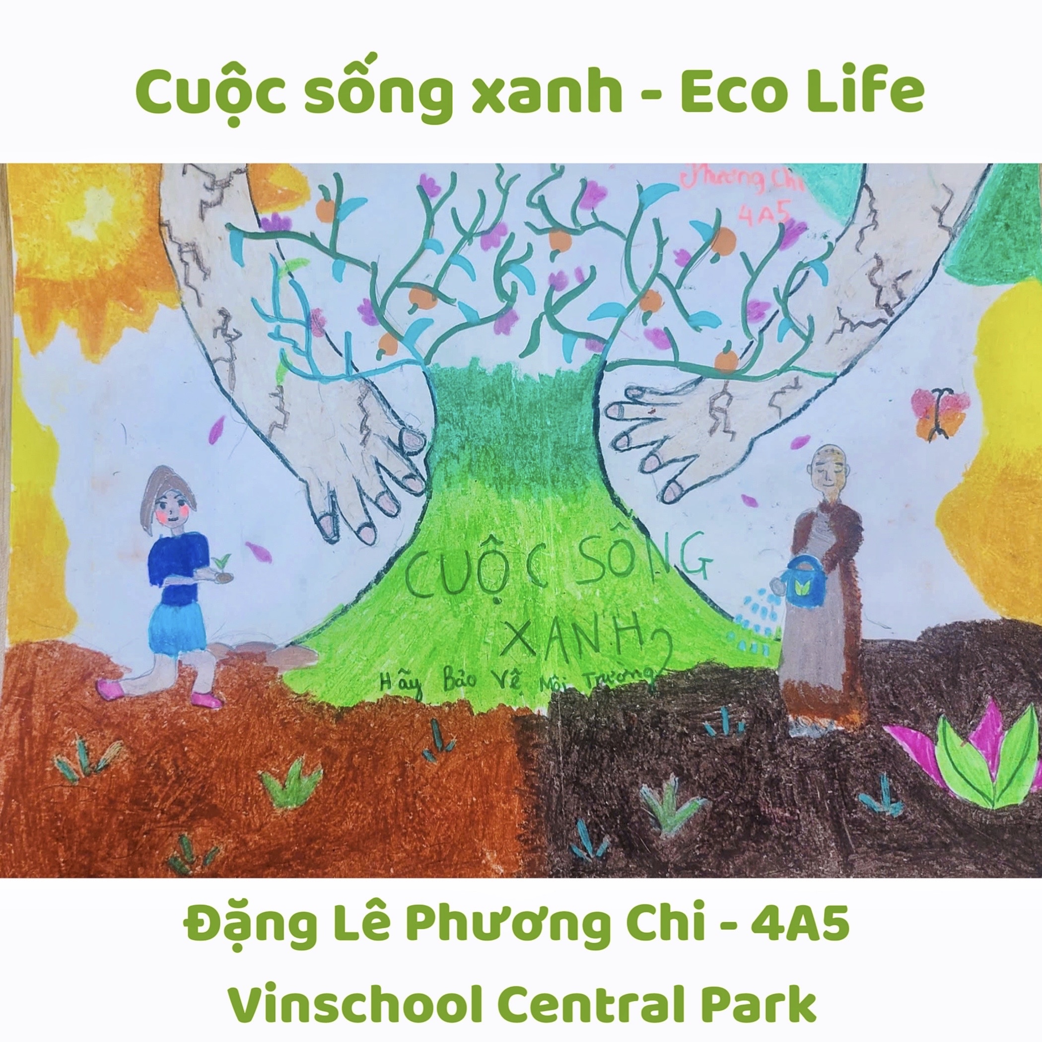 Đặng Lê Phương Chi