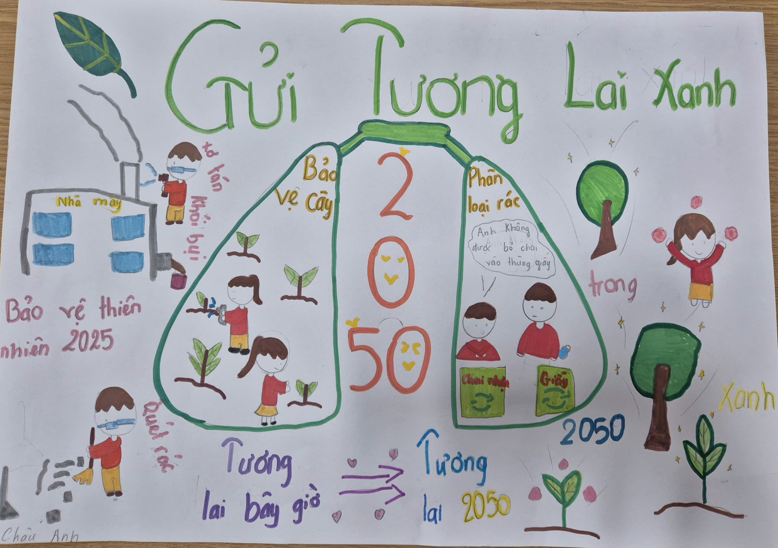 Bùi Châu Anh