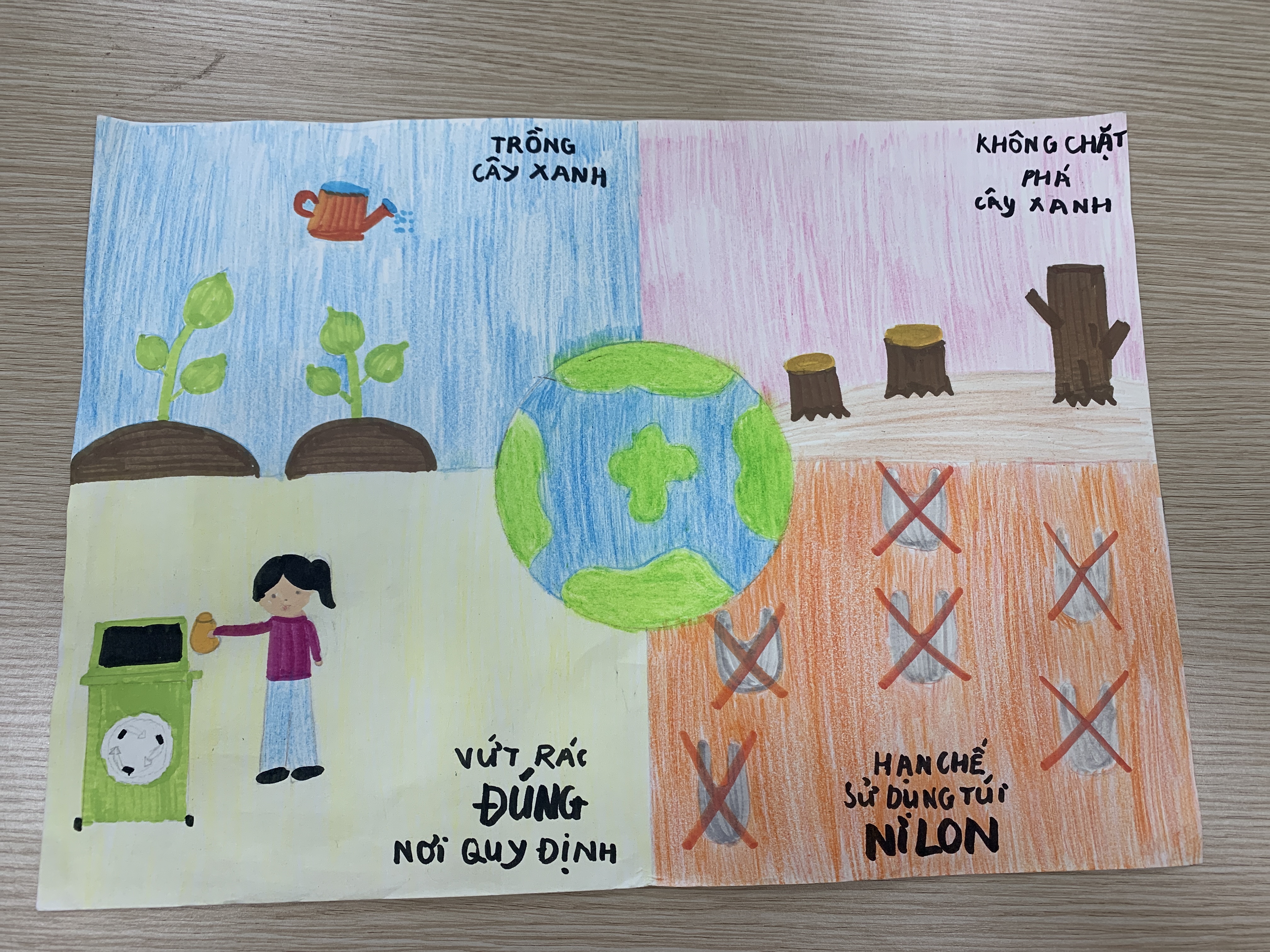 VI Lâm Bảo Trâm