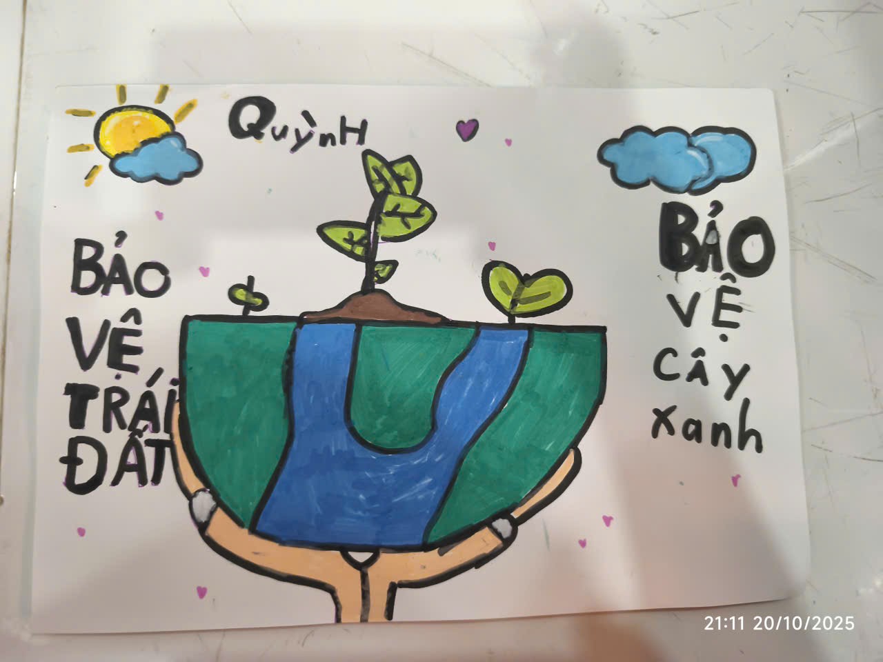 Mai Lê Đan Quỳnh