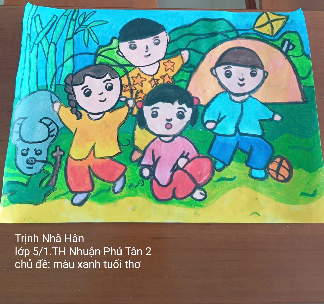 Trịnh Nhã Hân