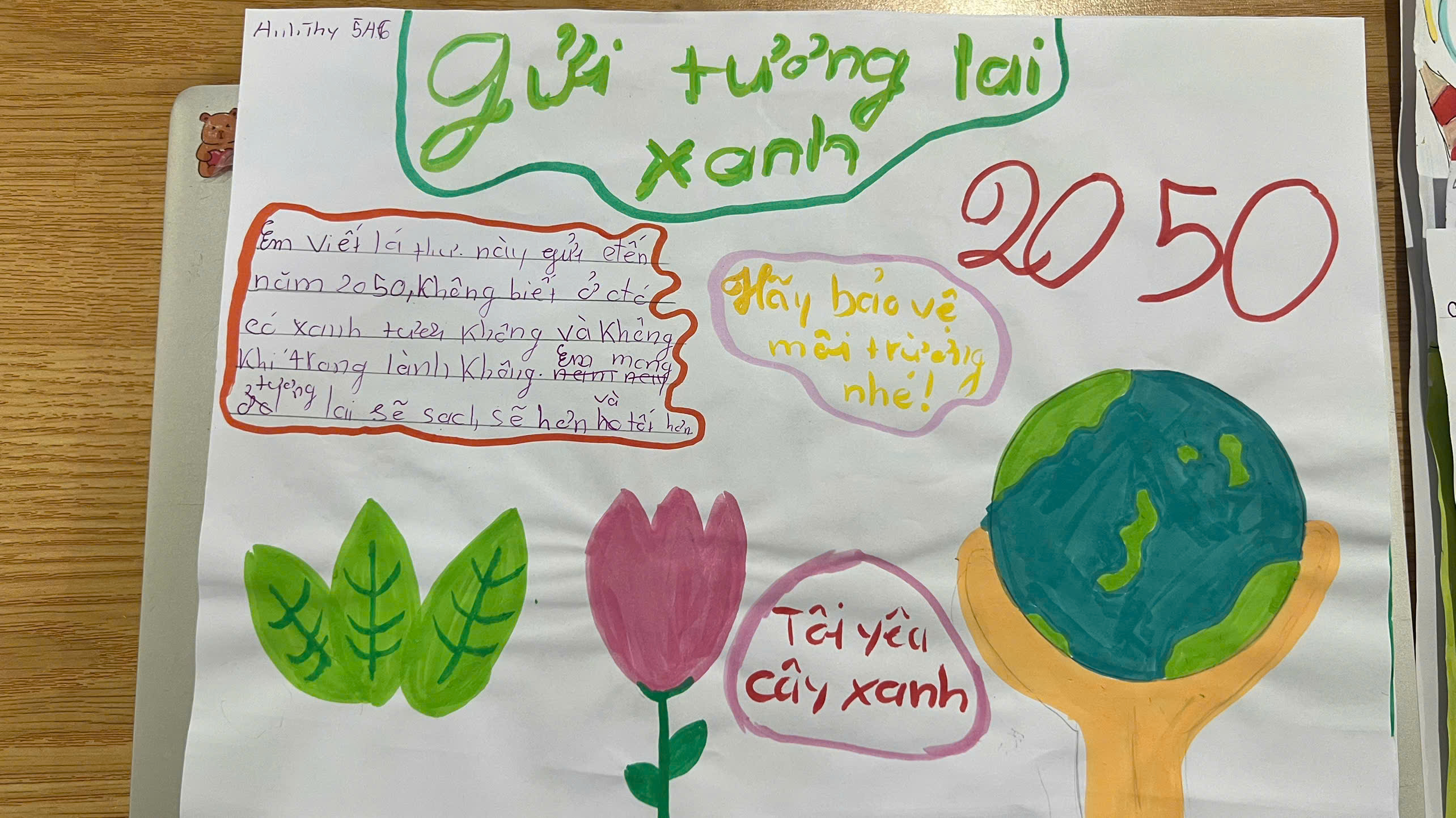 Vũ Nguyễn Anh Thy