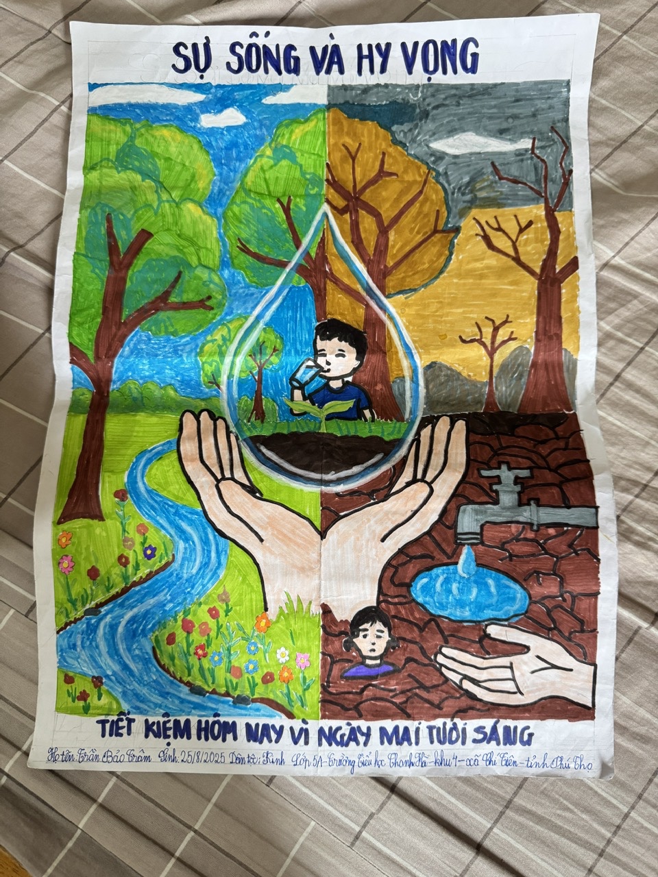 Trần Bảo Trâm