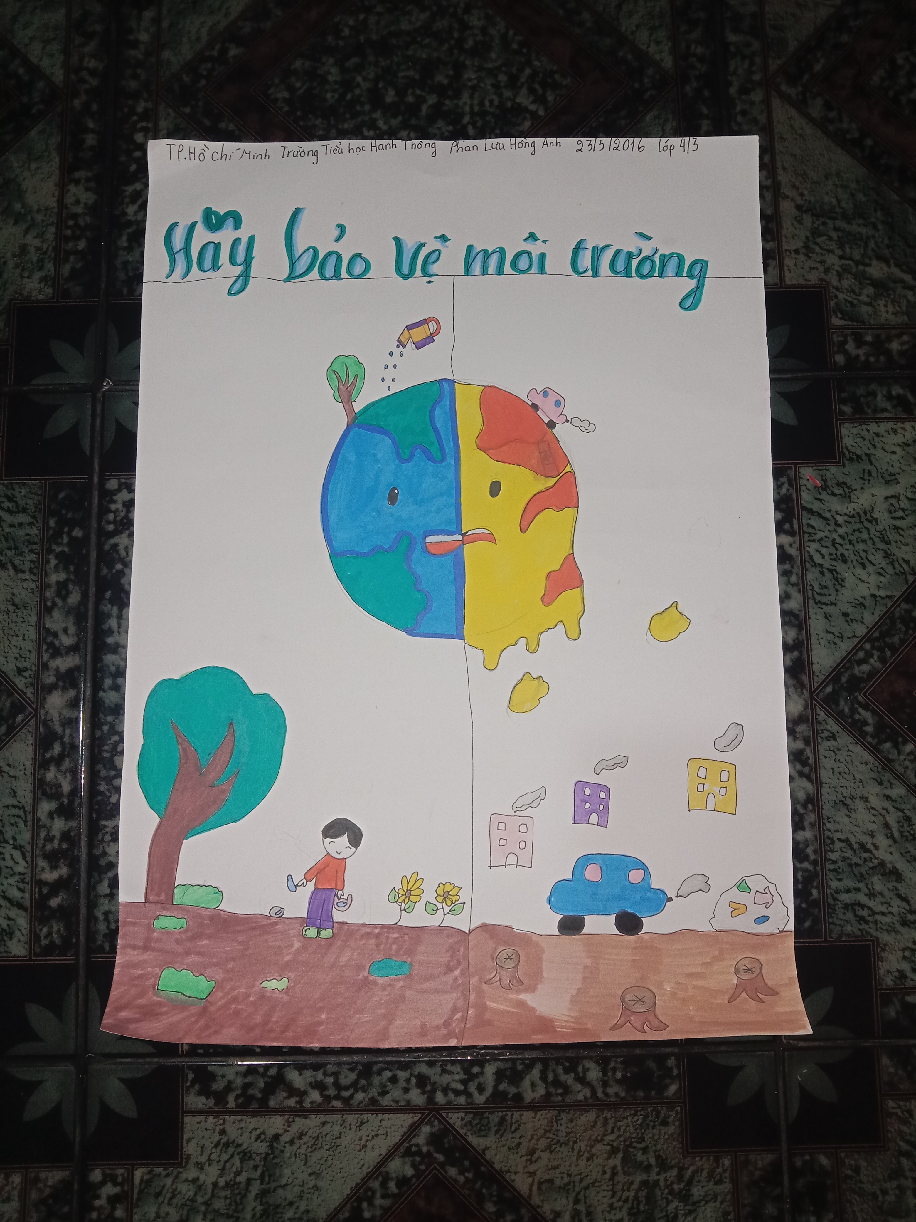 Phan Lưu Hồng Anh