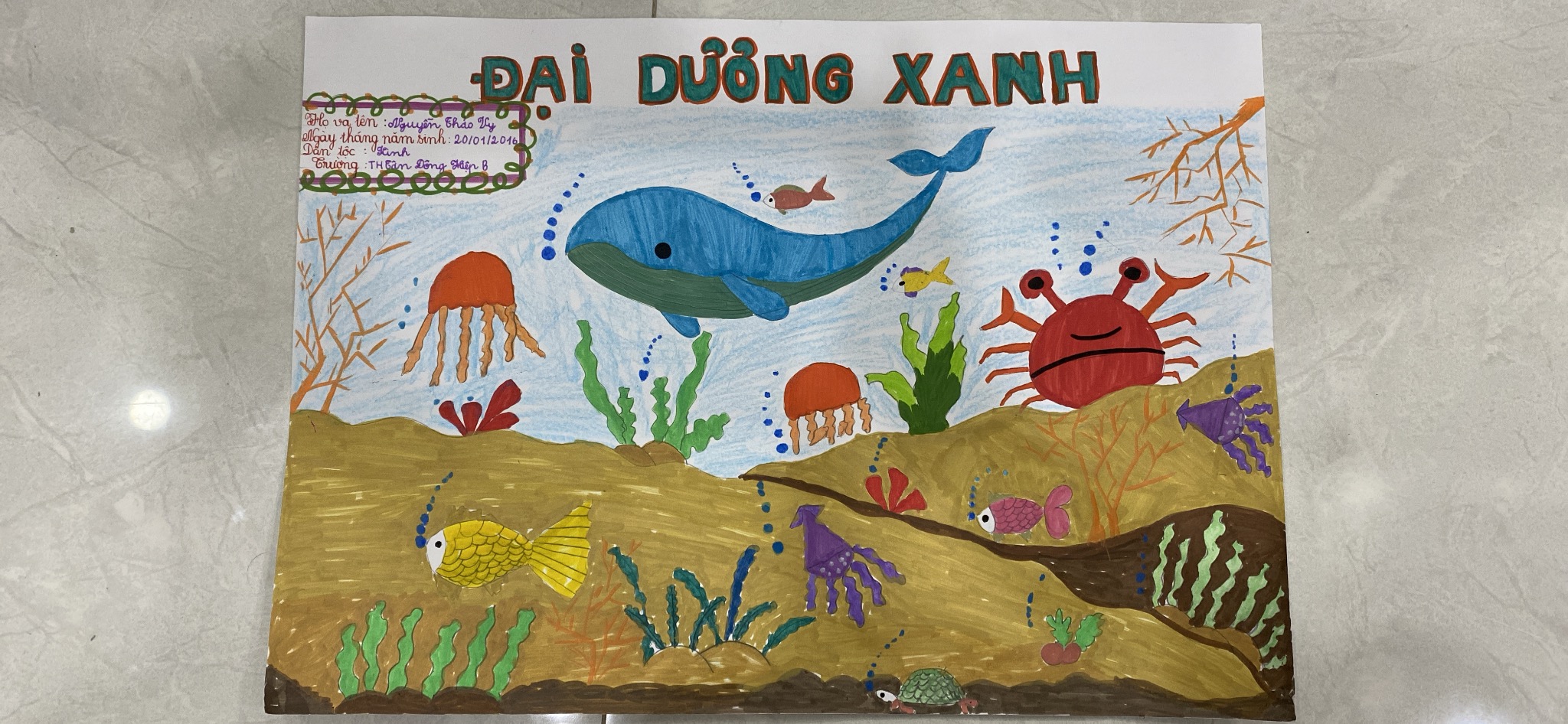 Nguyễn Thảo Vy