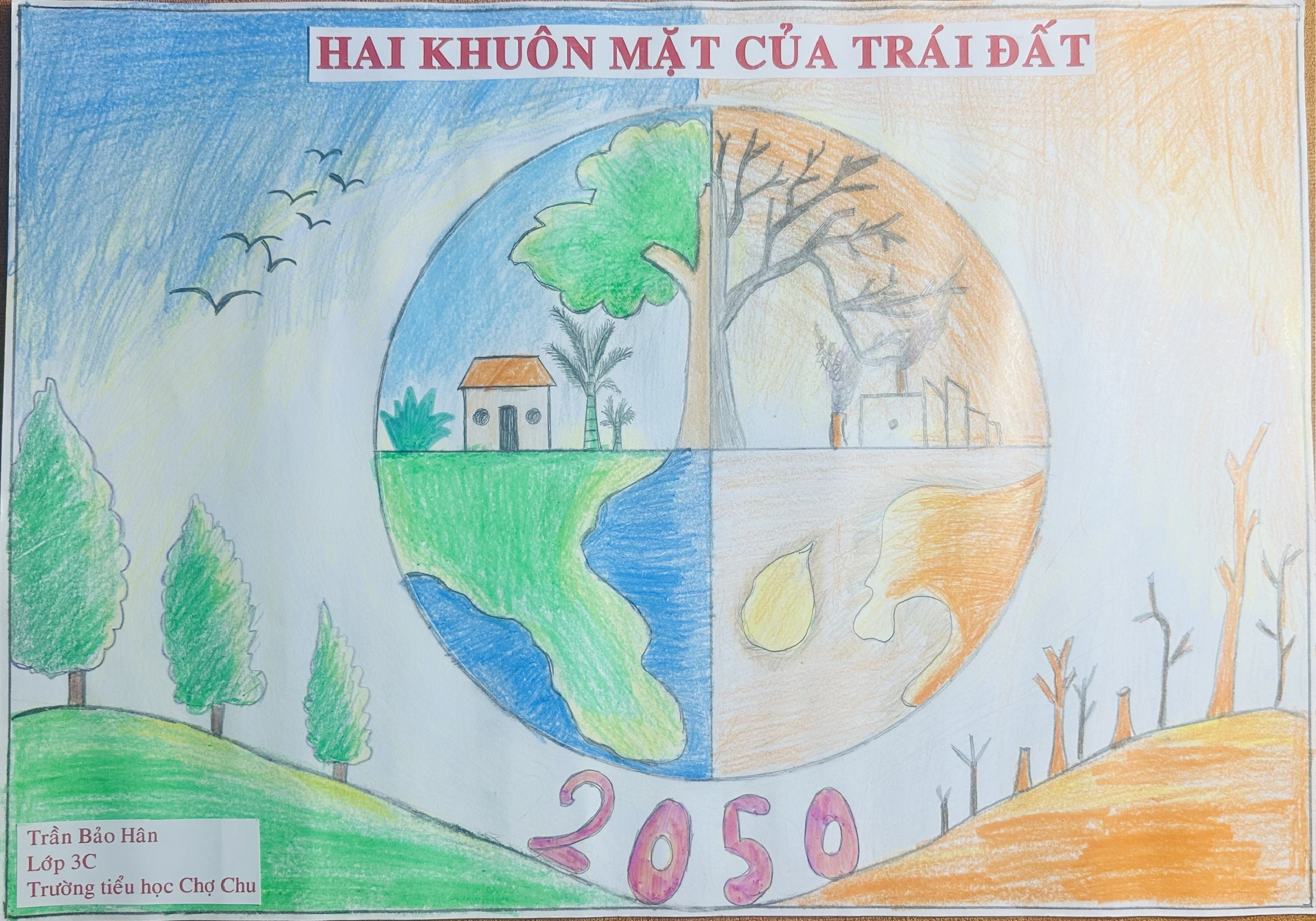 Trần Bảo Hân
