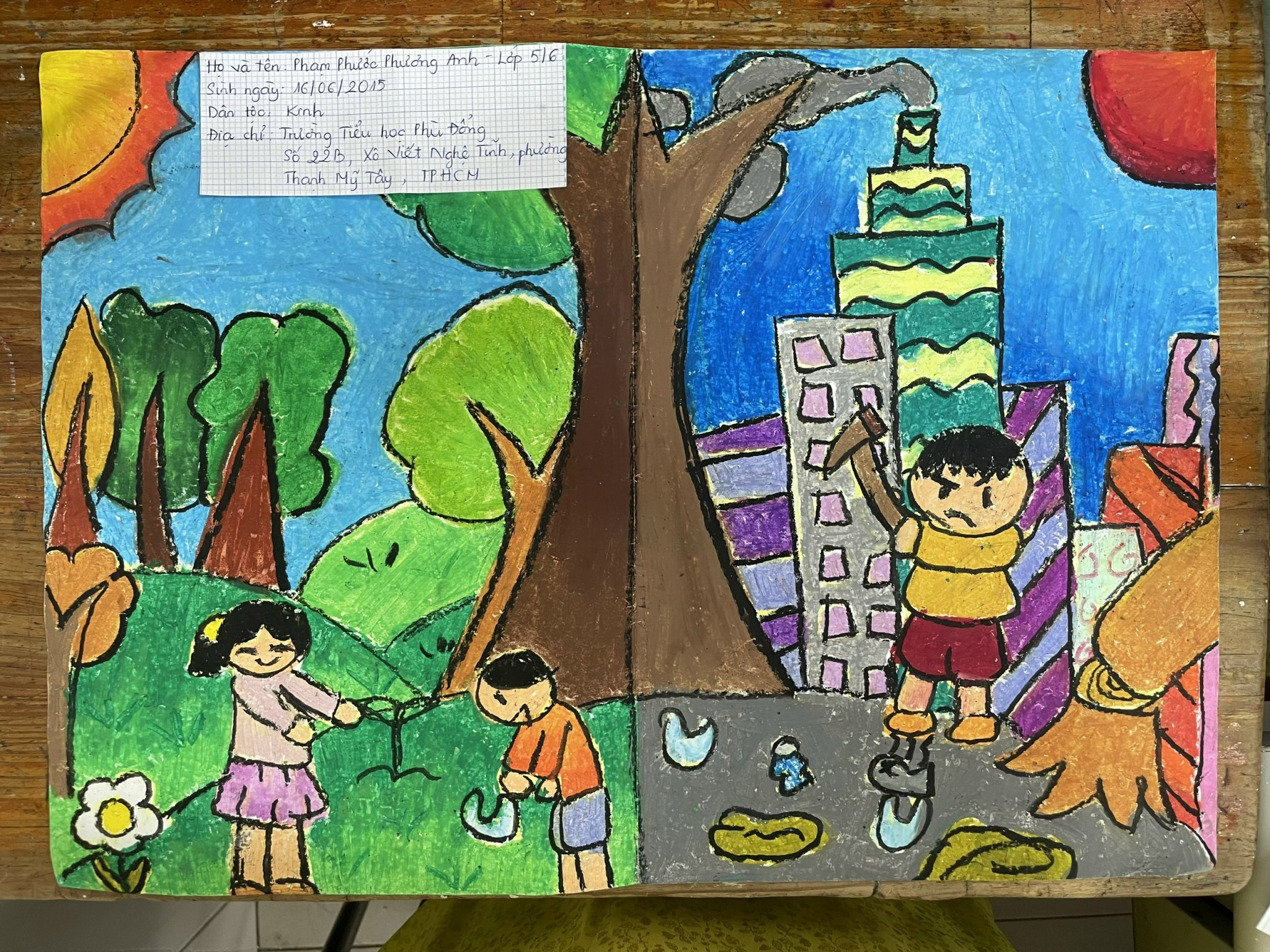 Phạm Phước Phương Anh