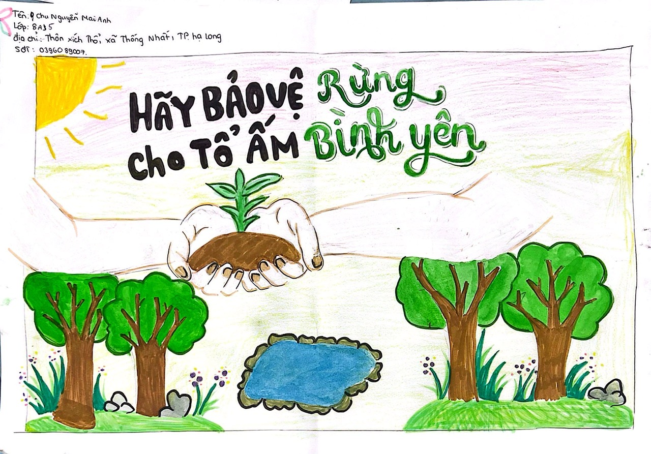 Chu Nguyễn Mai Anh