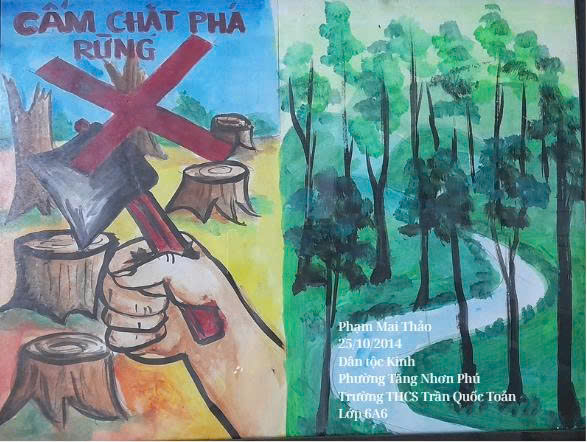 Phạm Mai Thảo