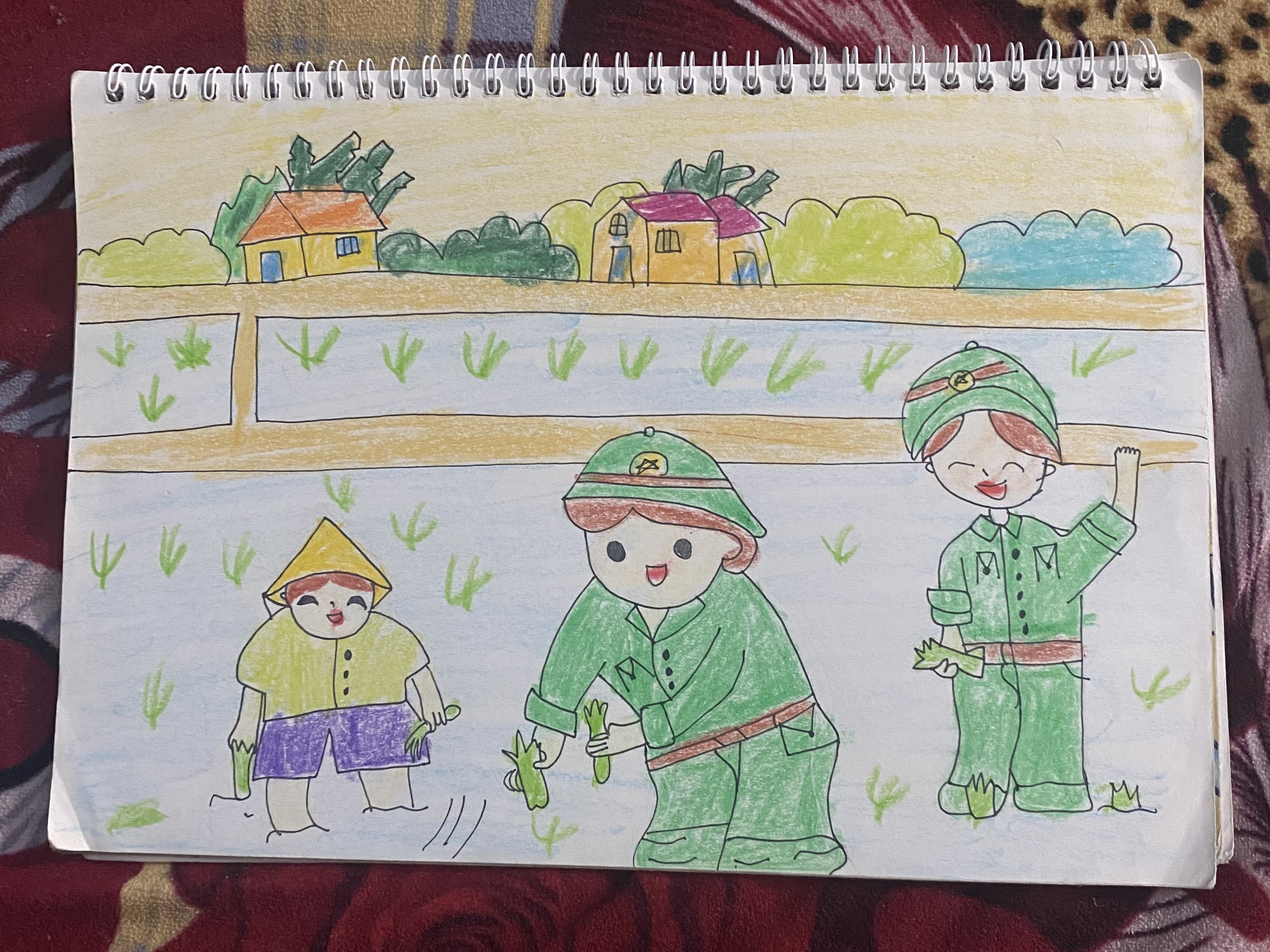 Haianh Trần