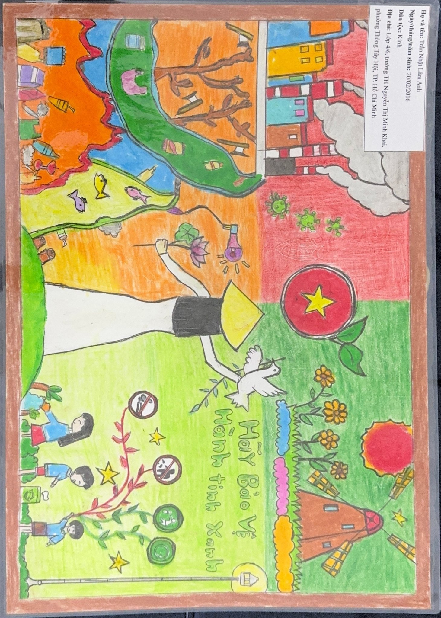 Trần Nhật Lâm Anh
