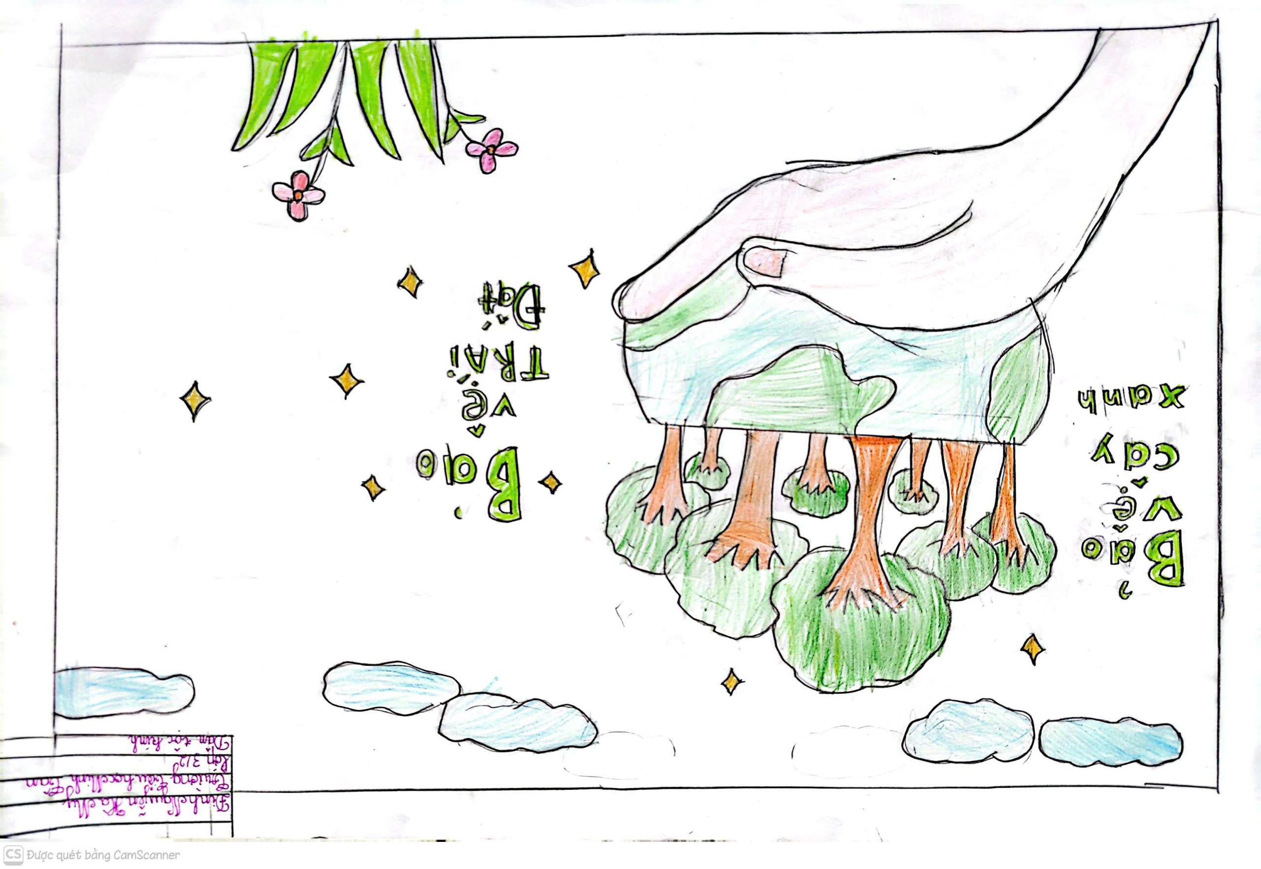 Đinh Nguyễn Hà My