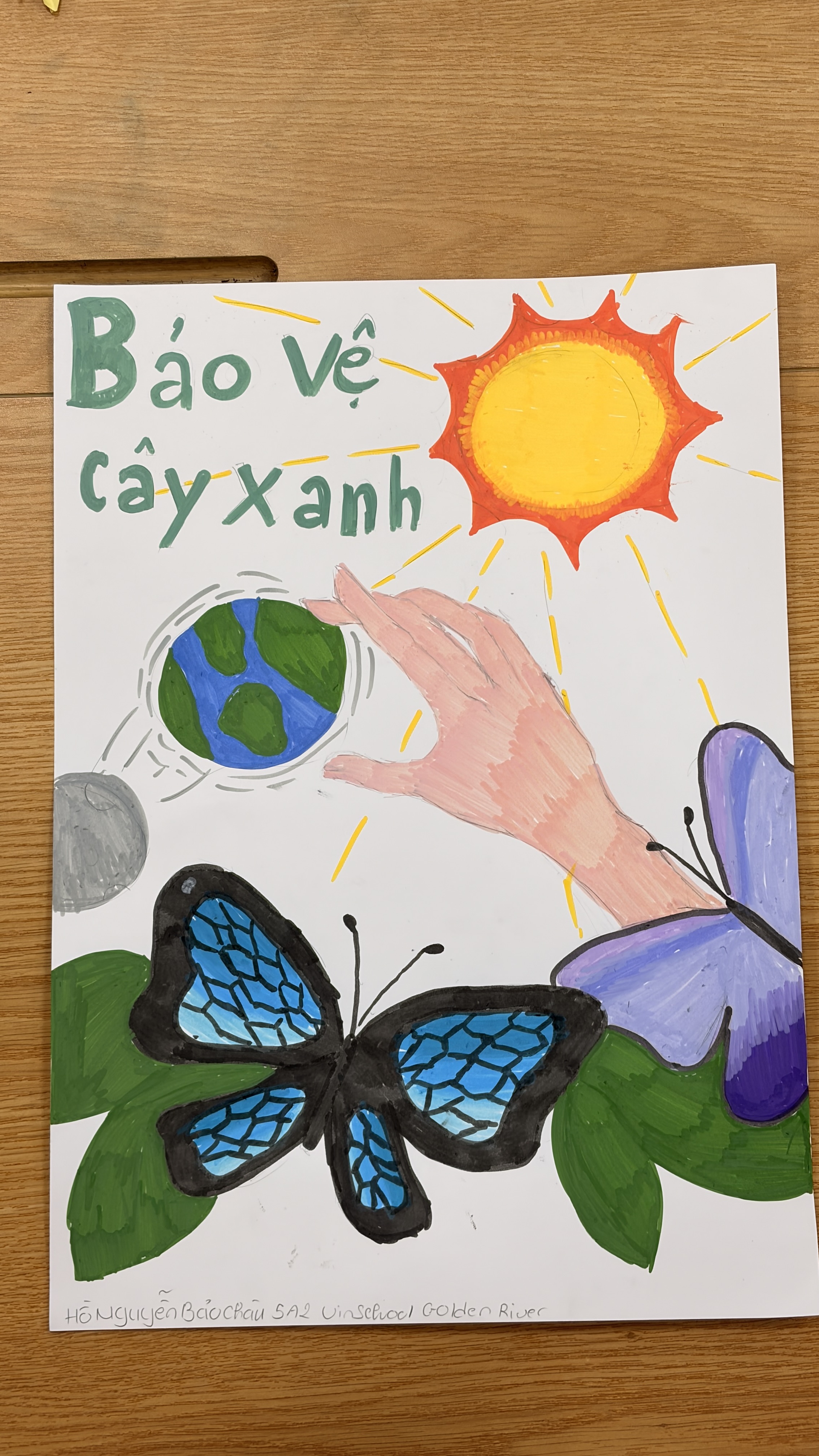 Hồ Nguyễn Bảo Châu