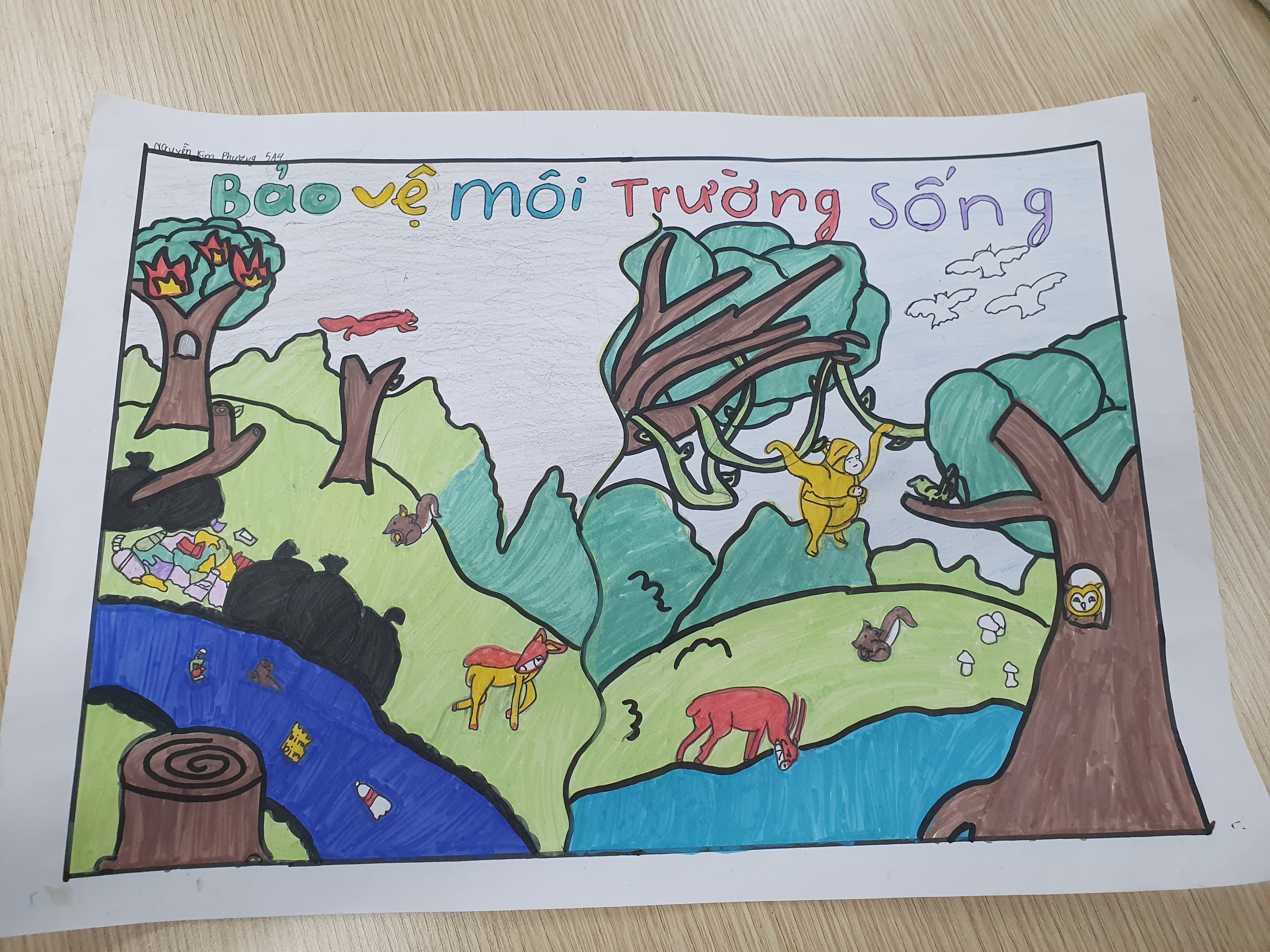 8 Nguyễn Kim Phượng