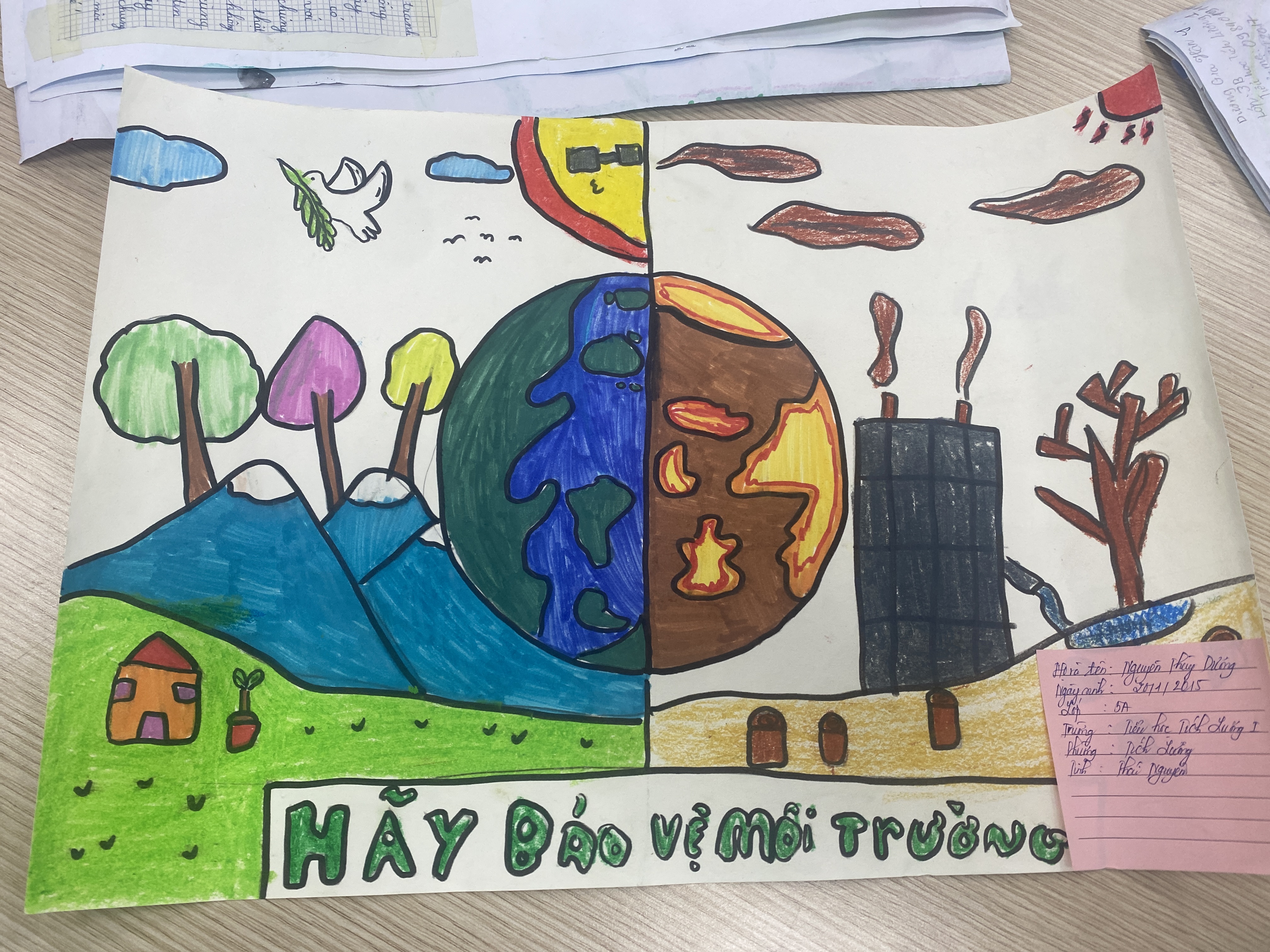 8 nguyễn thuỳ dương