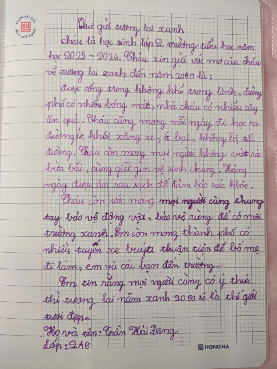 Trần Hải Đăng