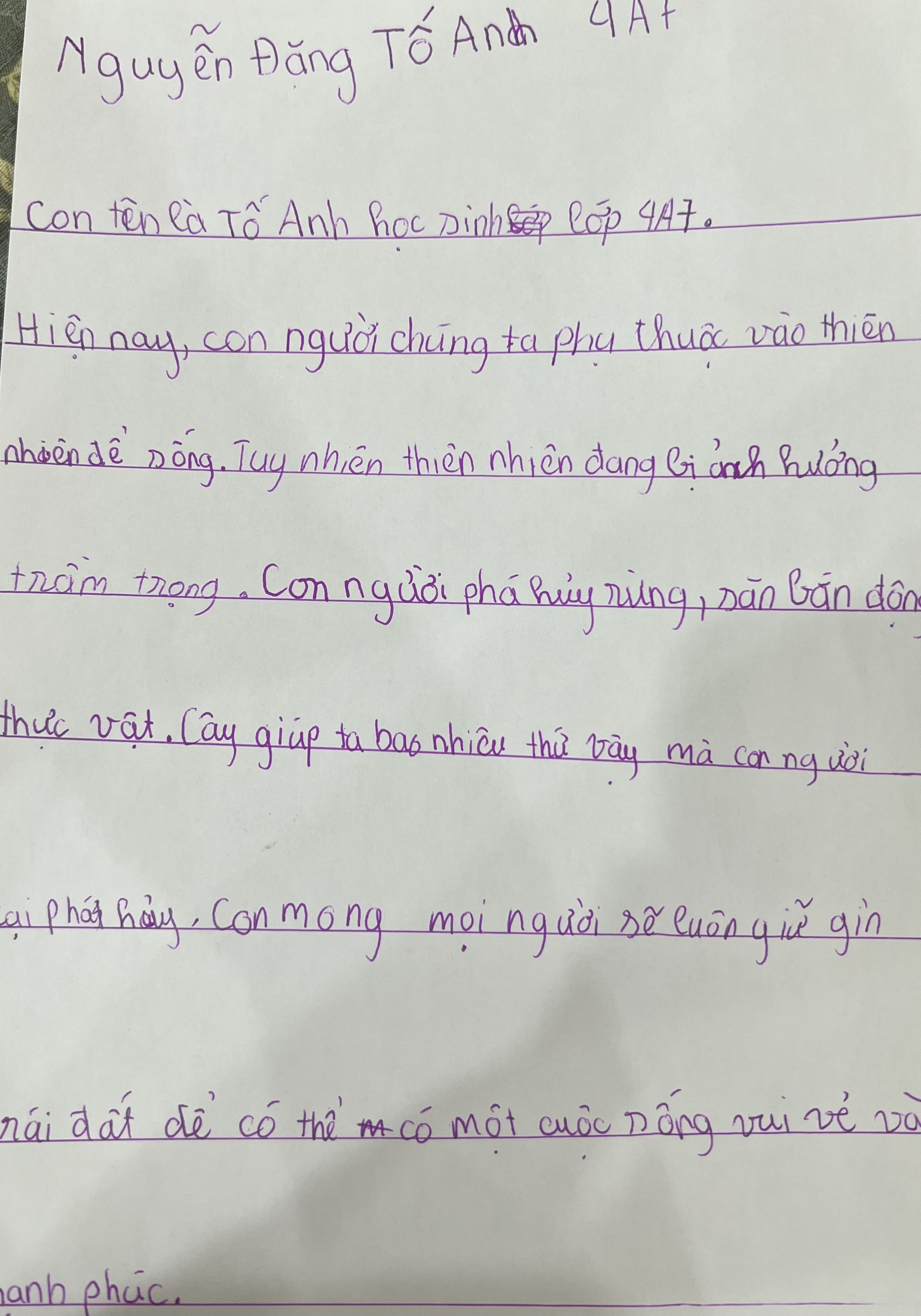 Nguyễn Đặng Tố Anh