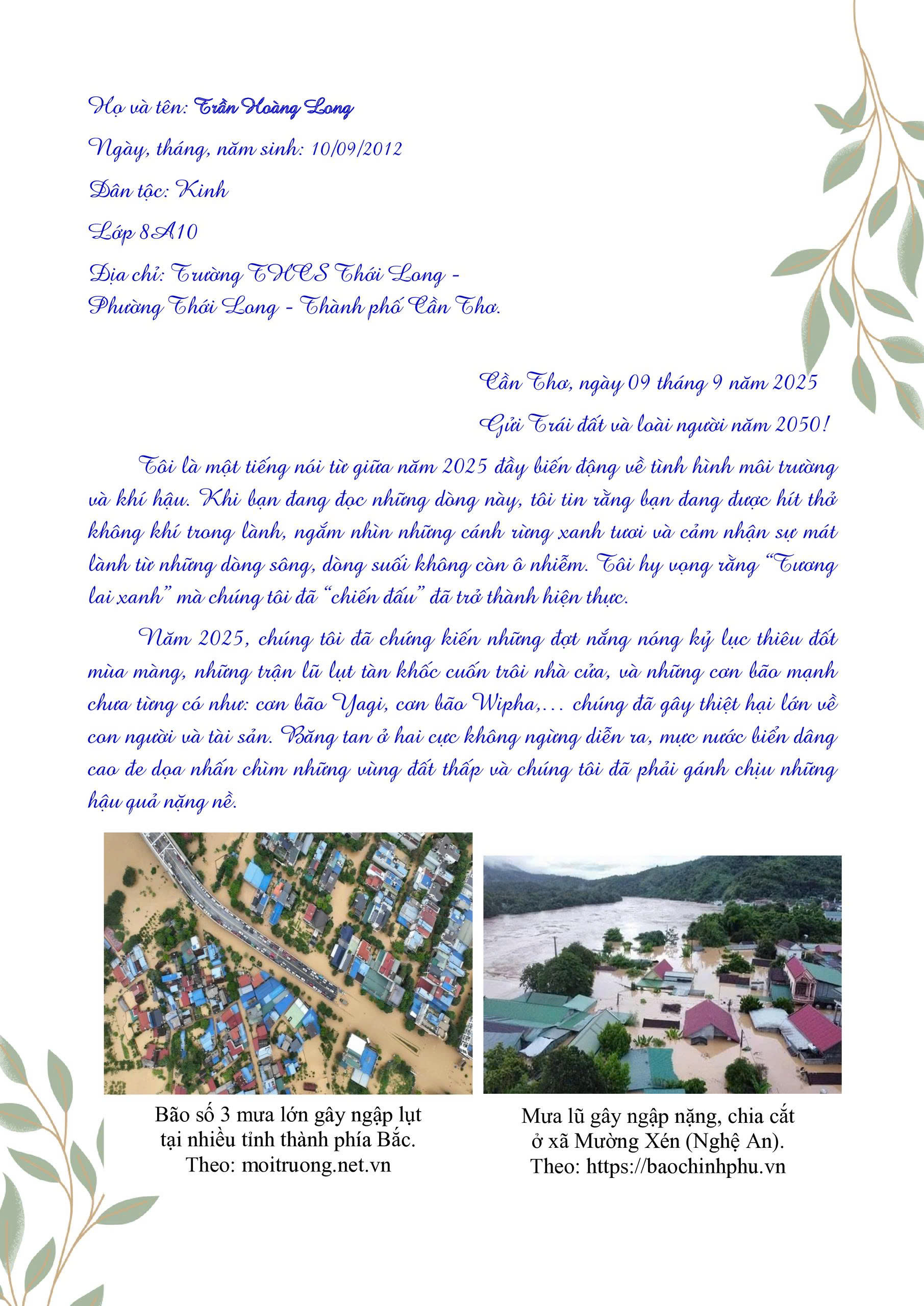 Trần Hoàng Long