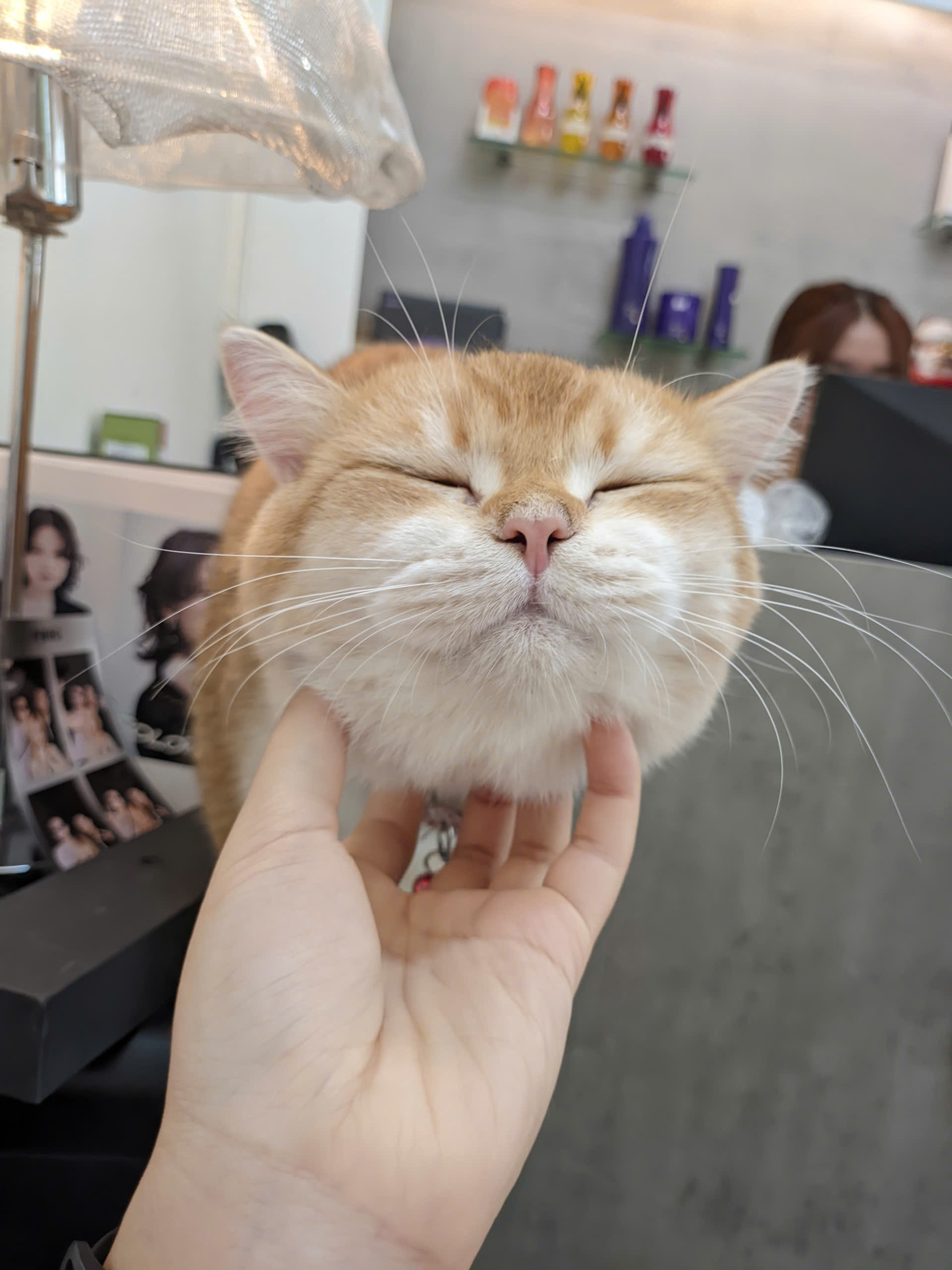 Đoàn Trà My