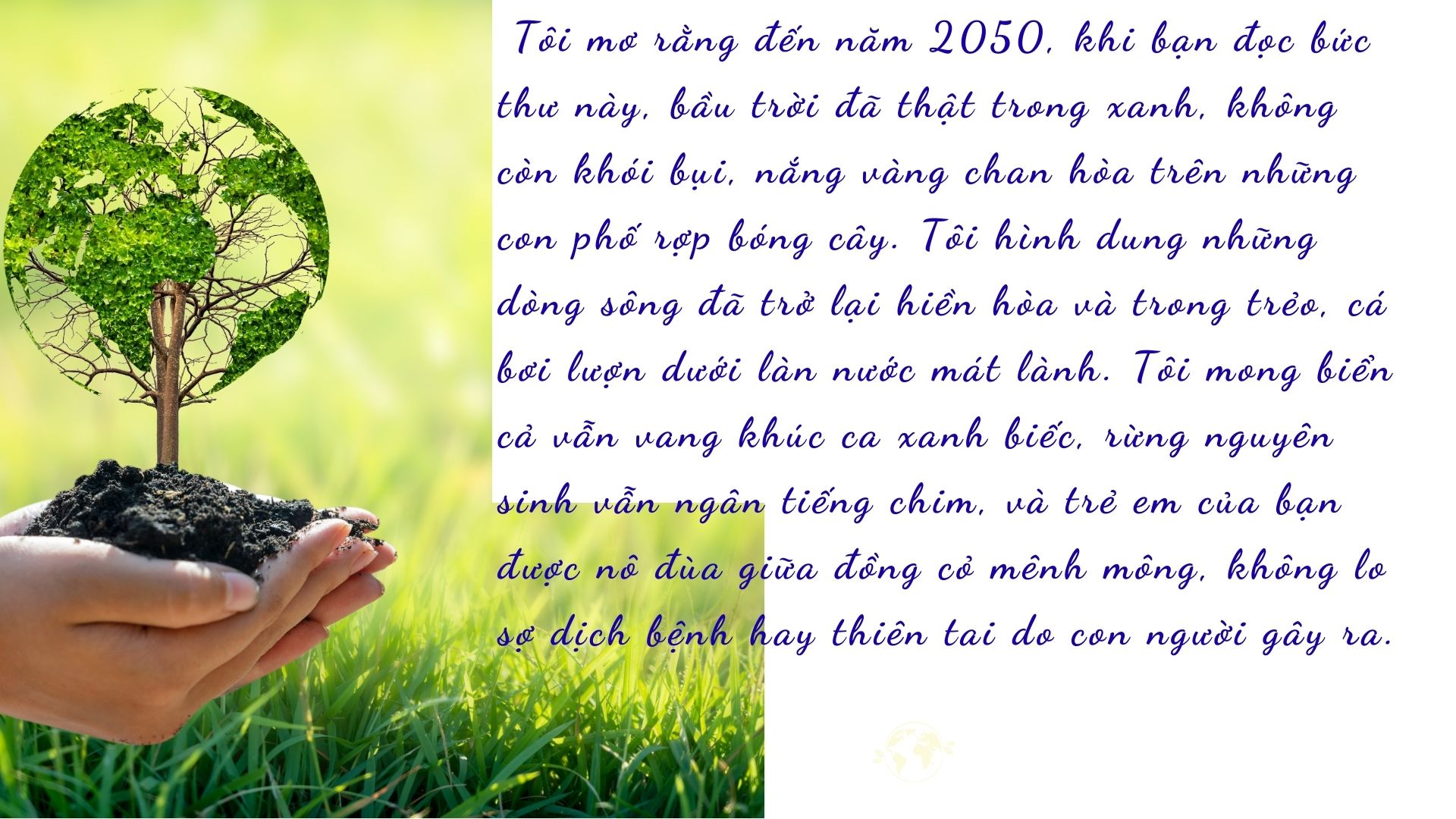 Vũ Thanh Như