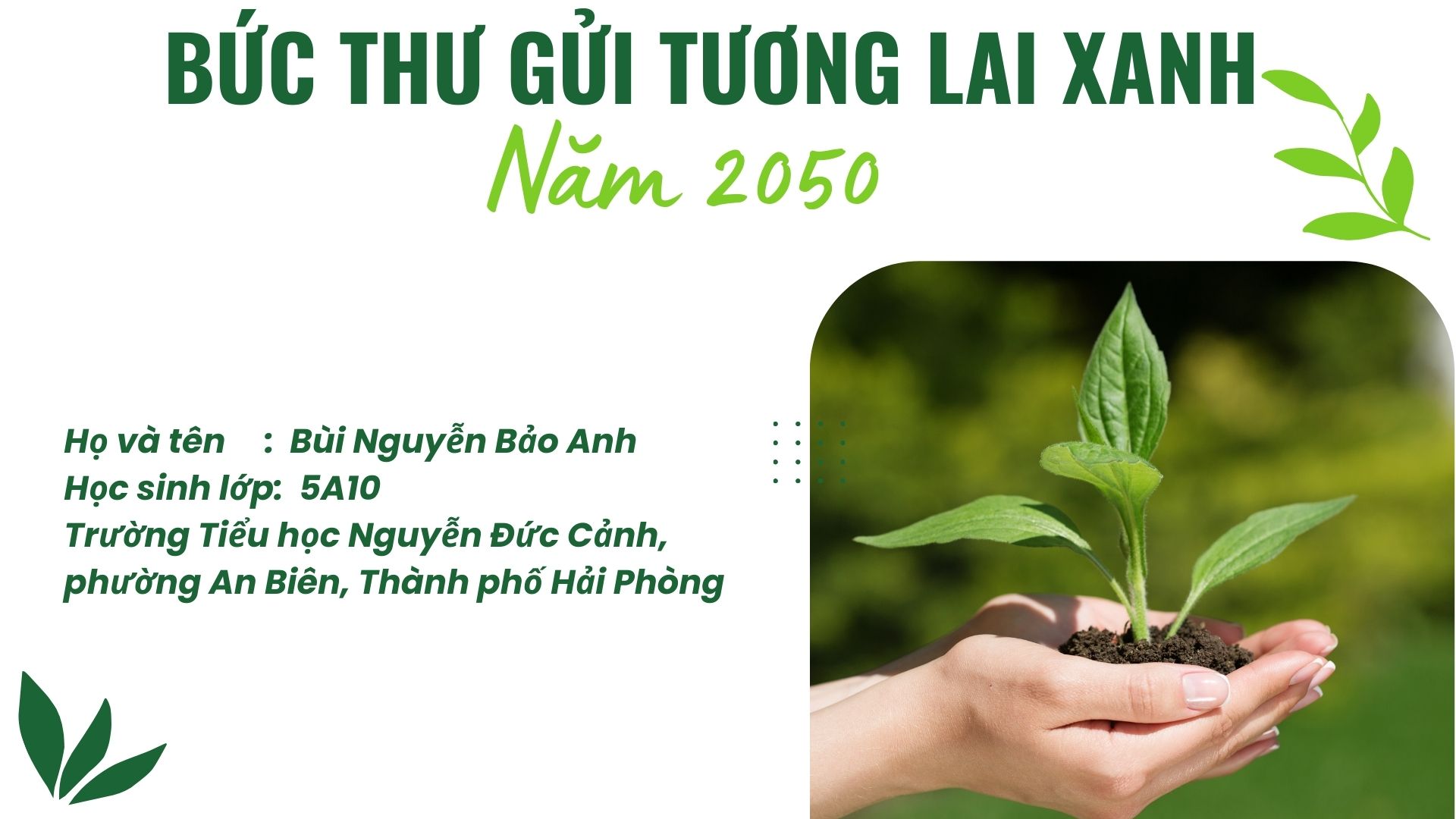 Bùi Nguyễn Bảo Anh