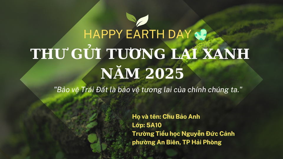 Chu Bảo Anh