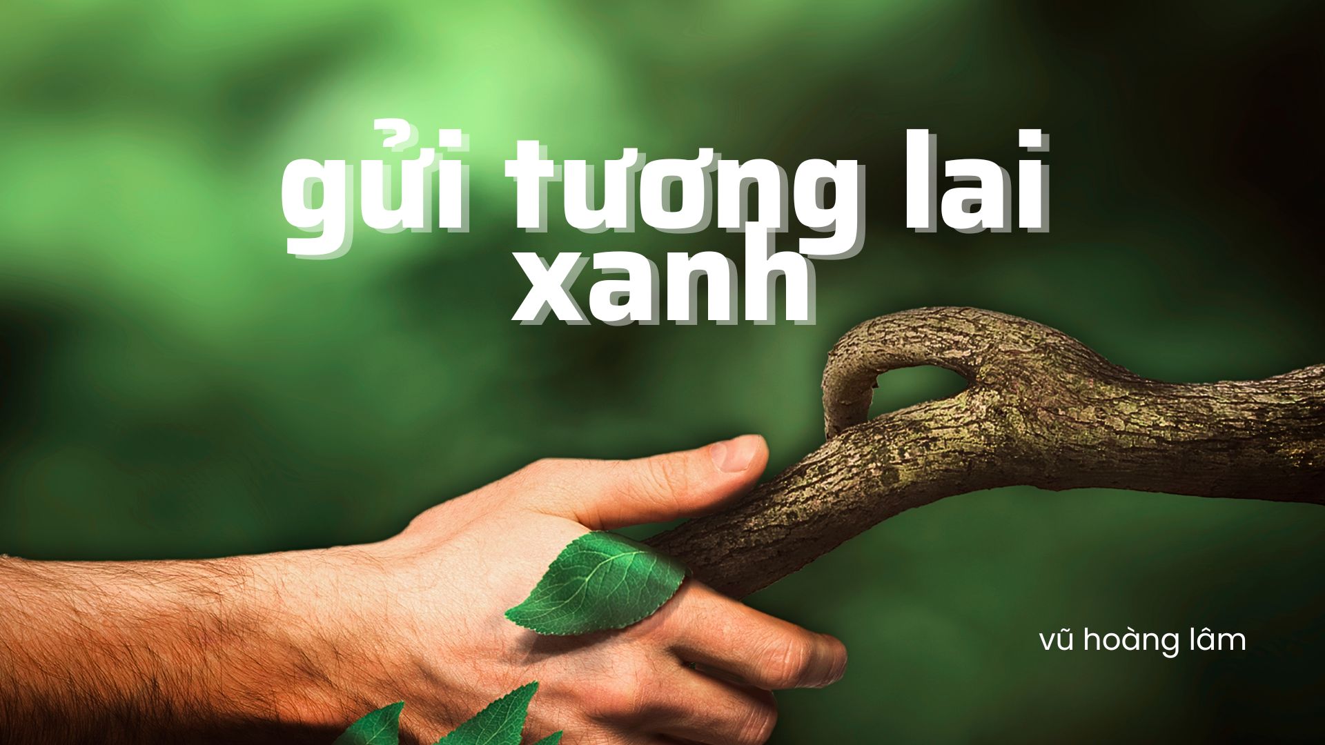 vũ hoàng lâm