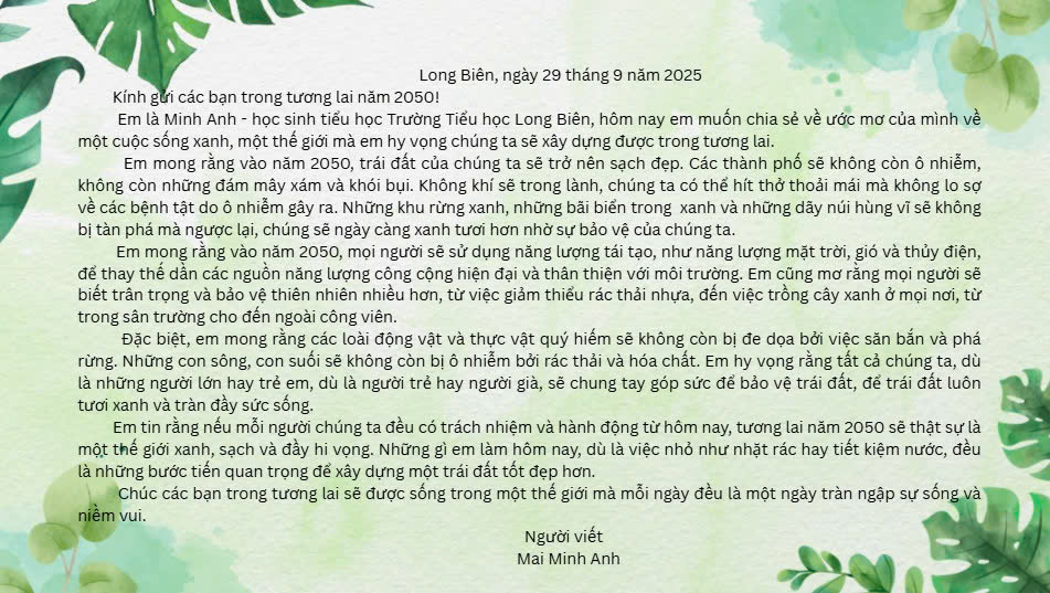 Mai Minh Anh