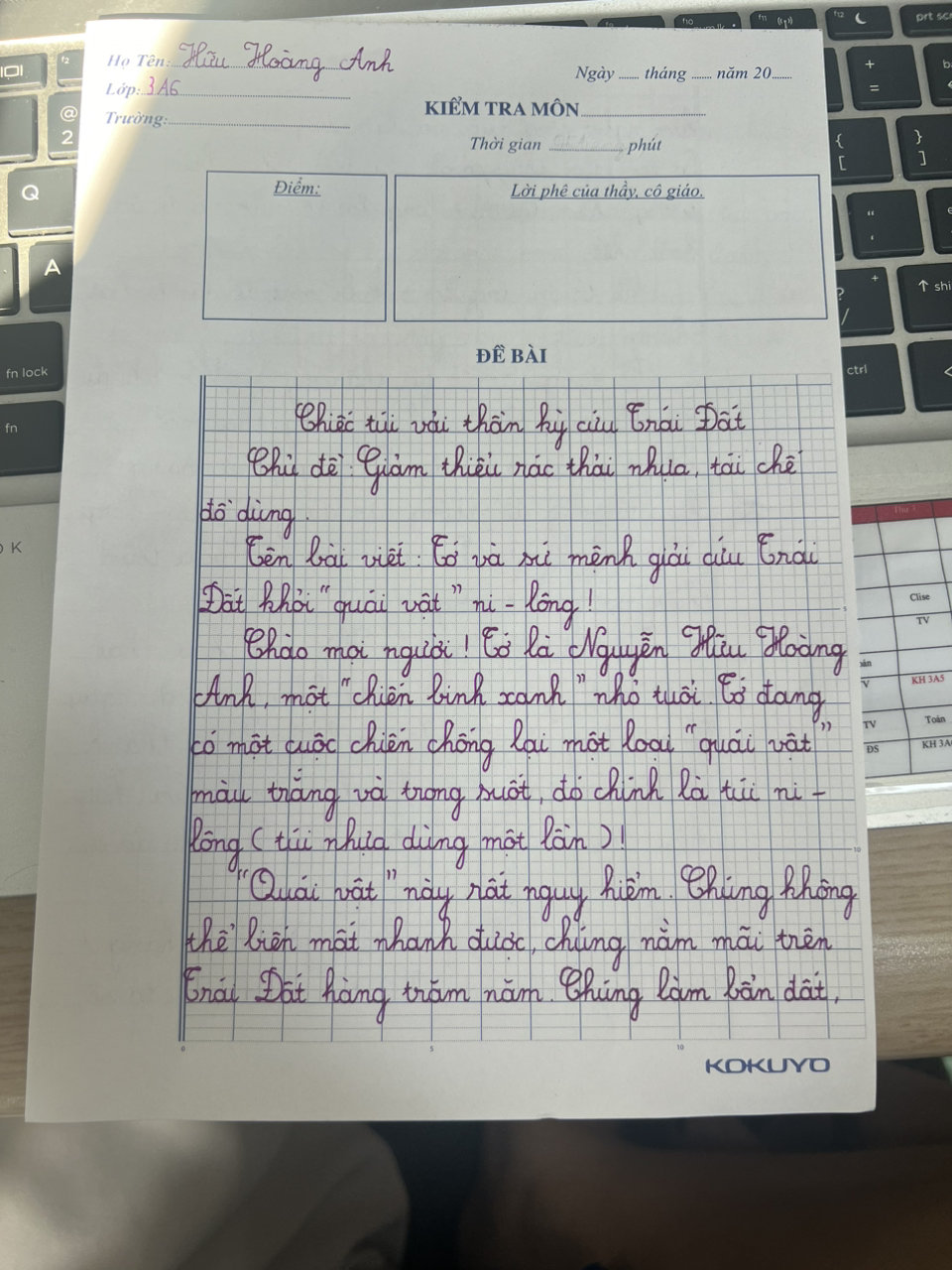 Nguyễn Hữu Hoàng Anh