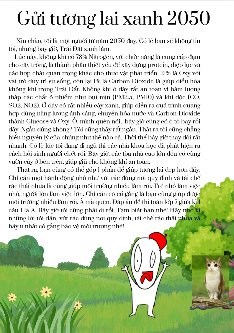 Chử Mai Chi