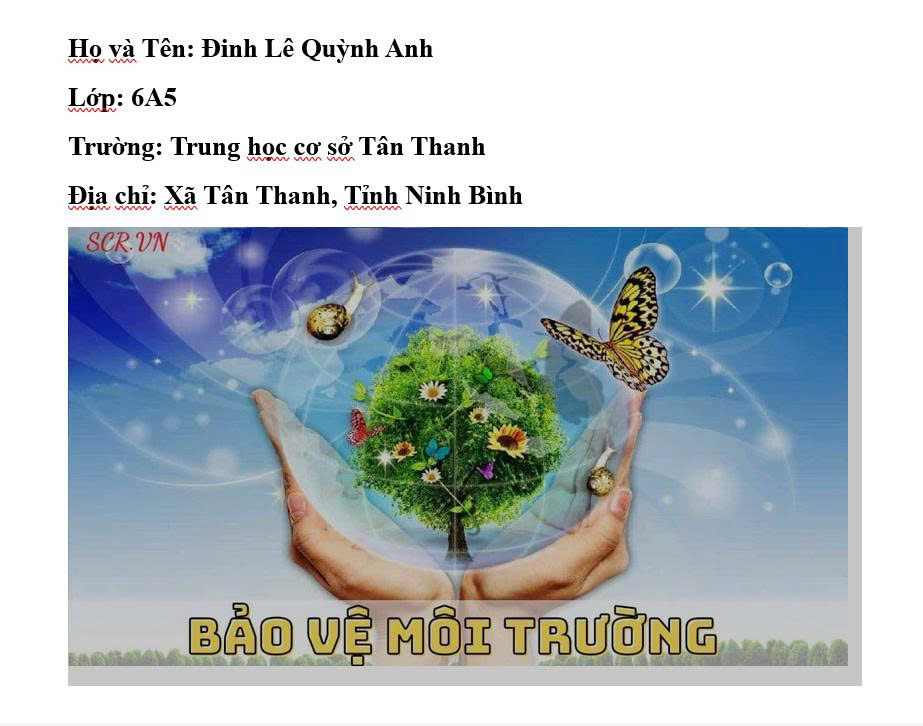 Đinh Lê Quỳnh Anh