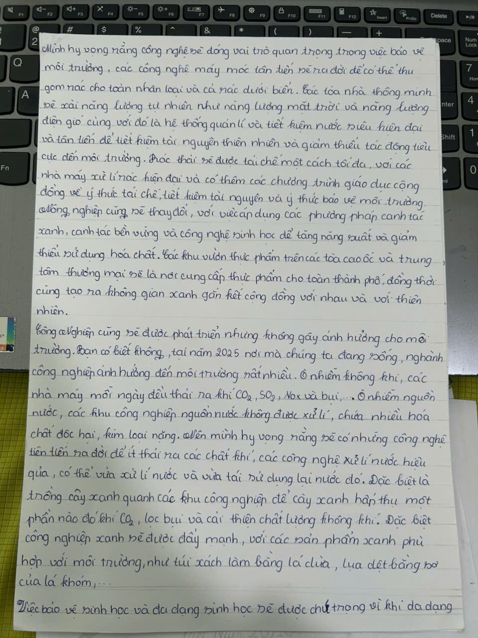 Trương Đình Khải