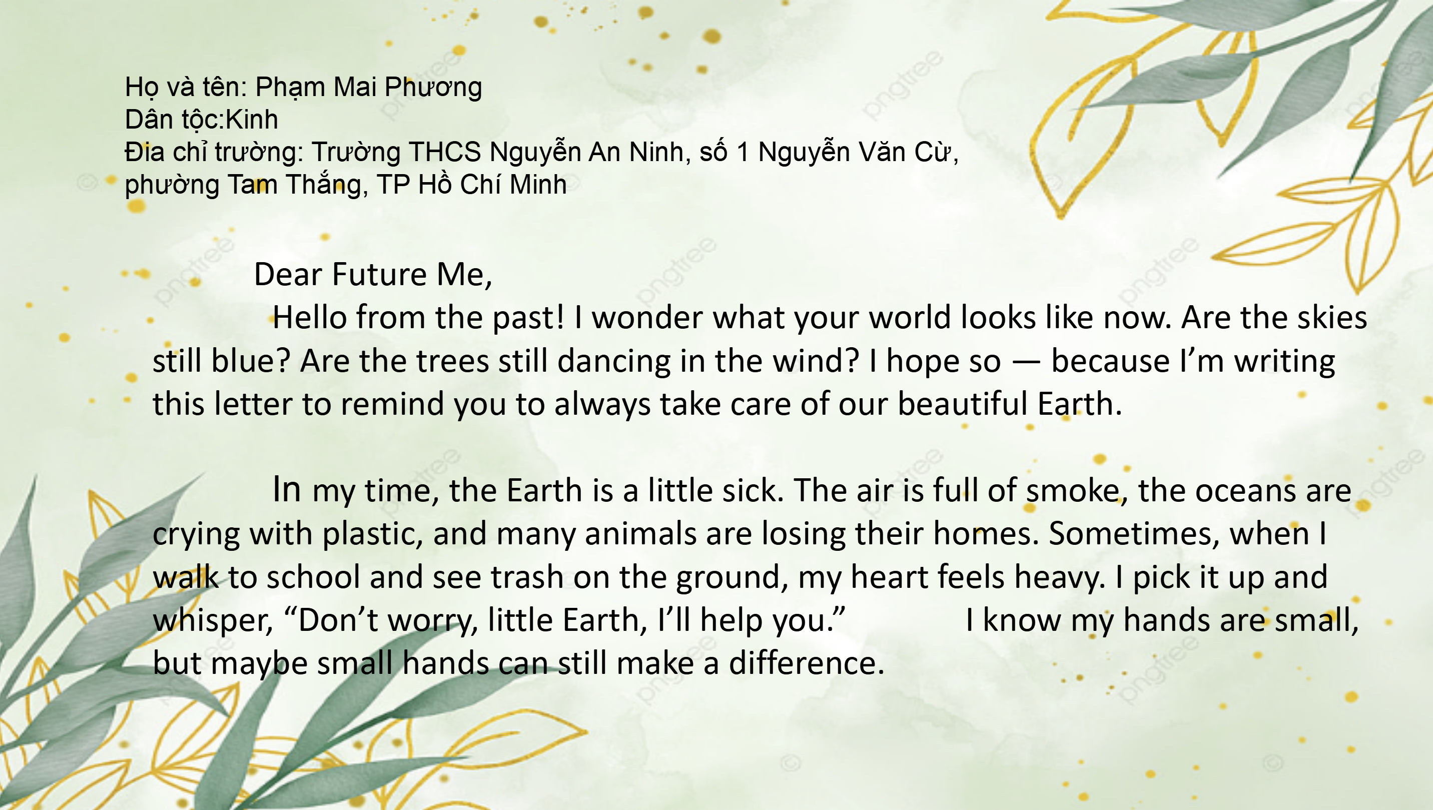 Phạm Mai Phương