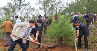 Phạm Viết Bảo Lộc