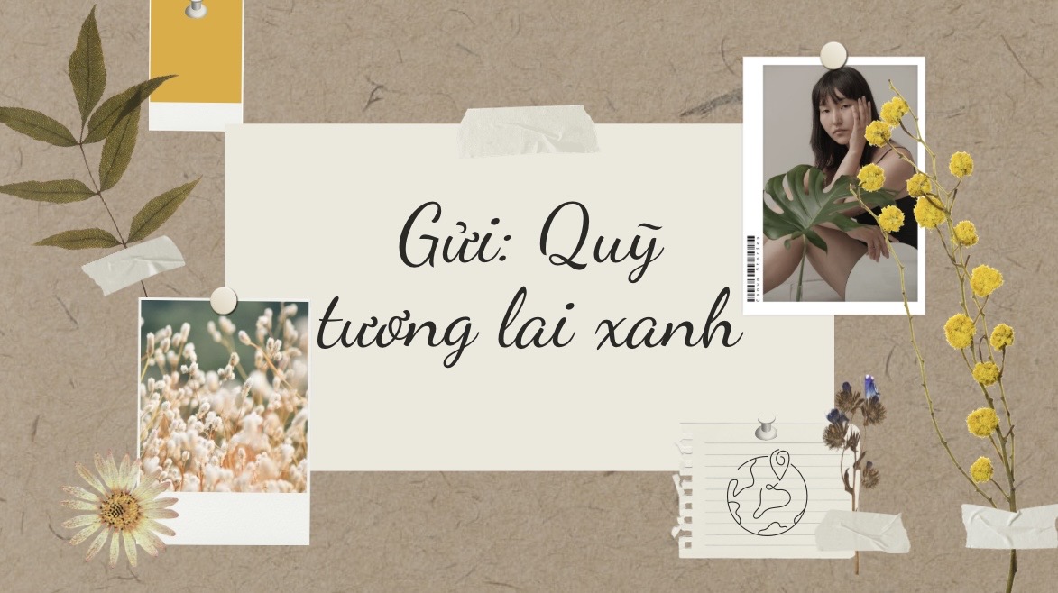 Bùi Hàng Gia Hân