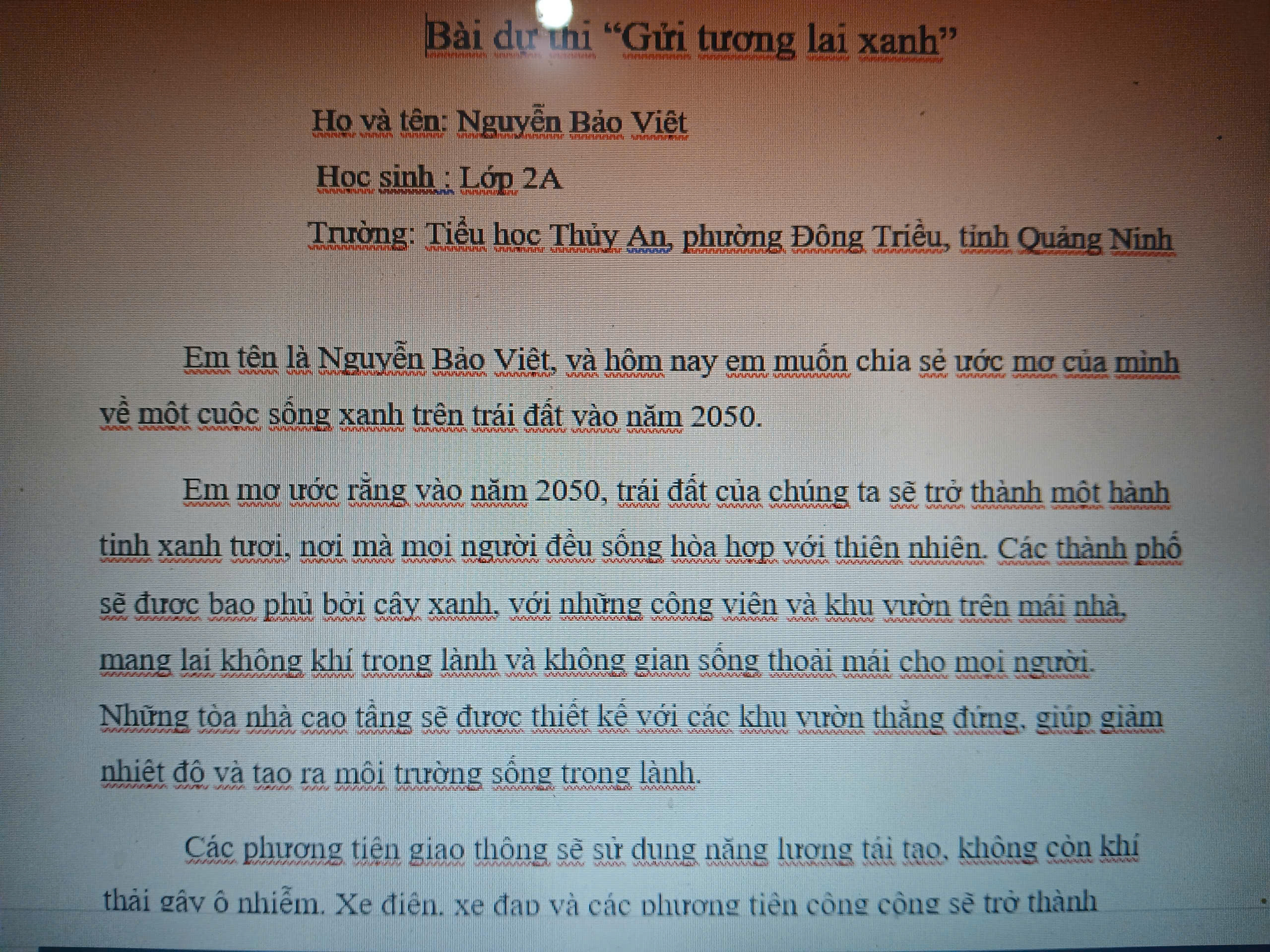 Nguyễn Bảo Việt