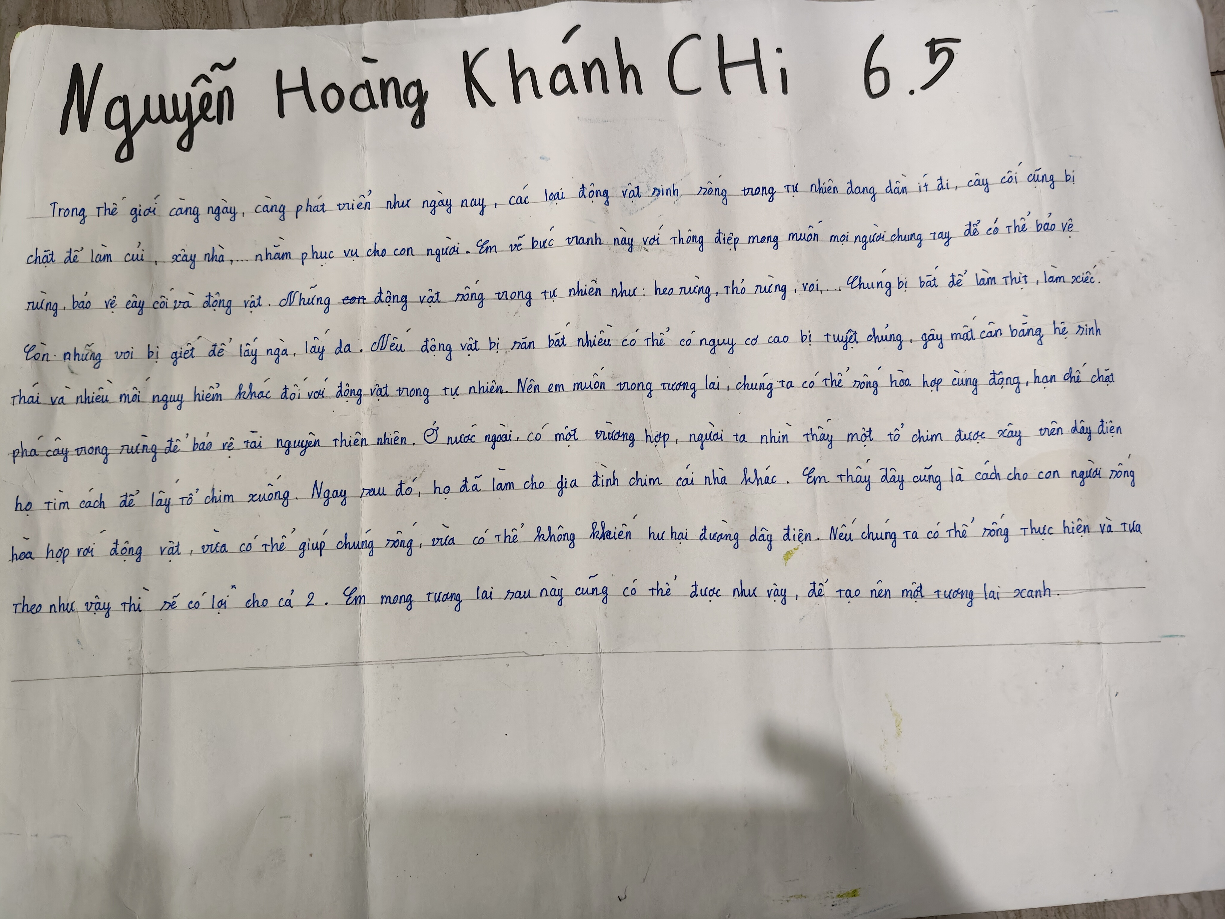 Nguyễn Hoàng Khánh Chi