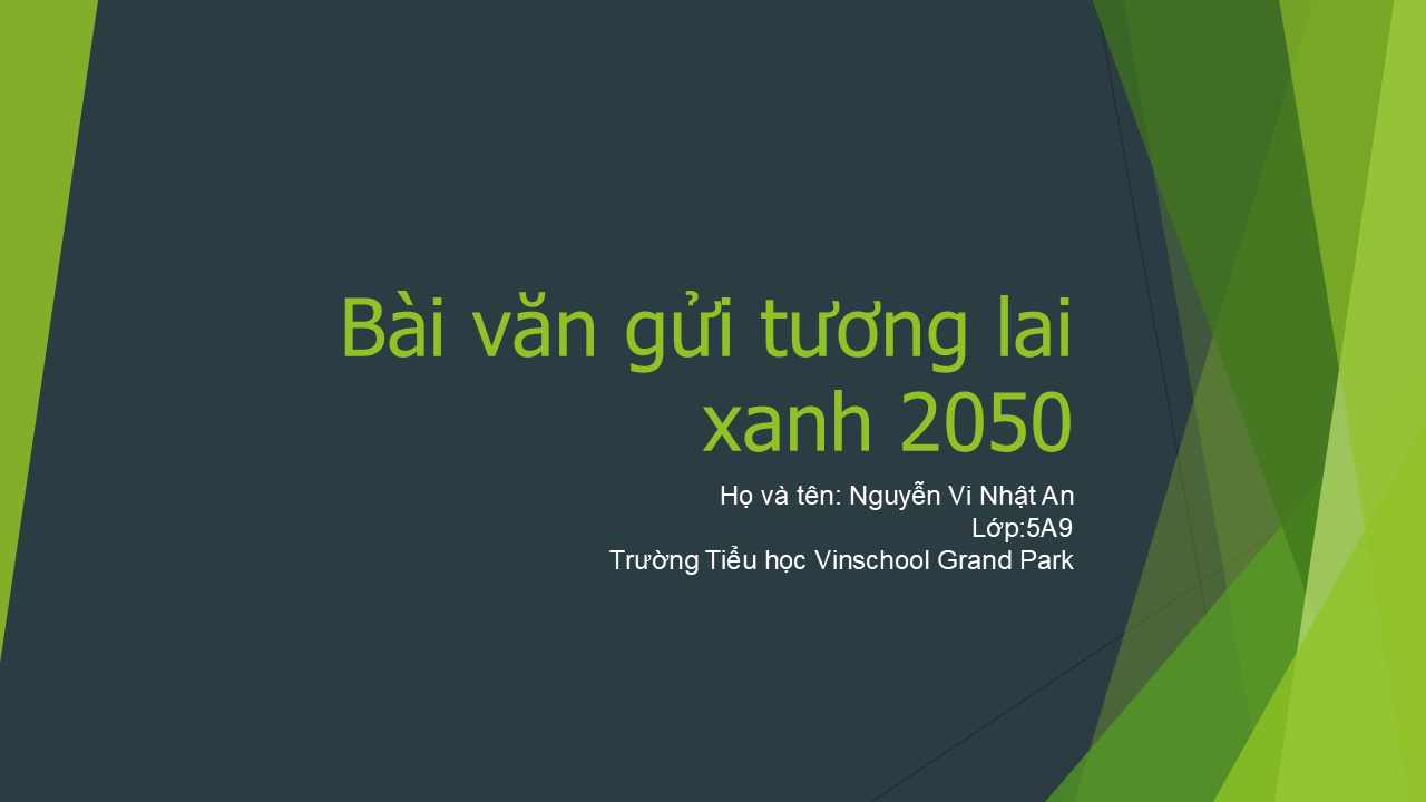 Nguyễn Vi Nhật An