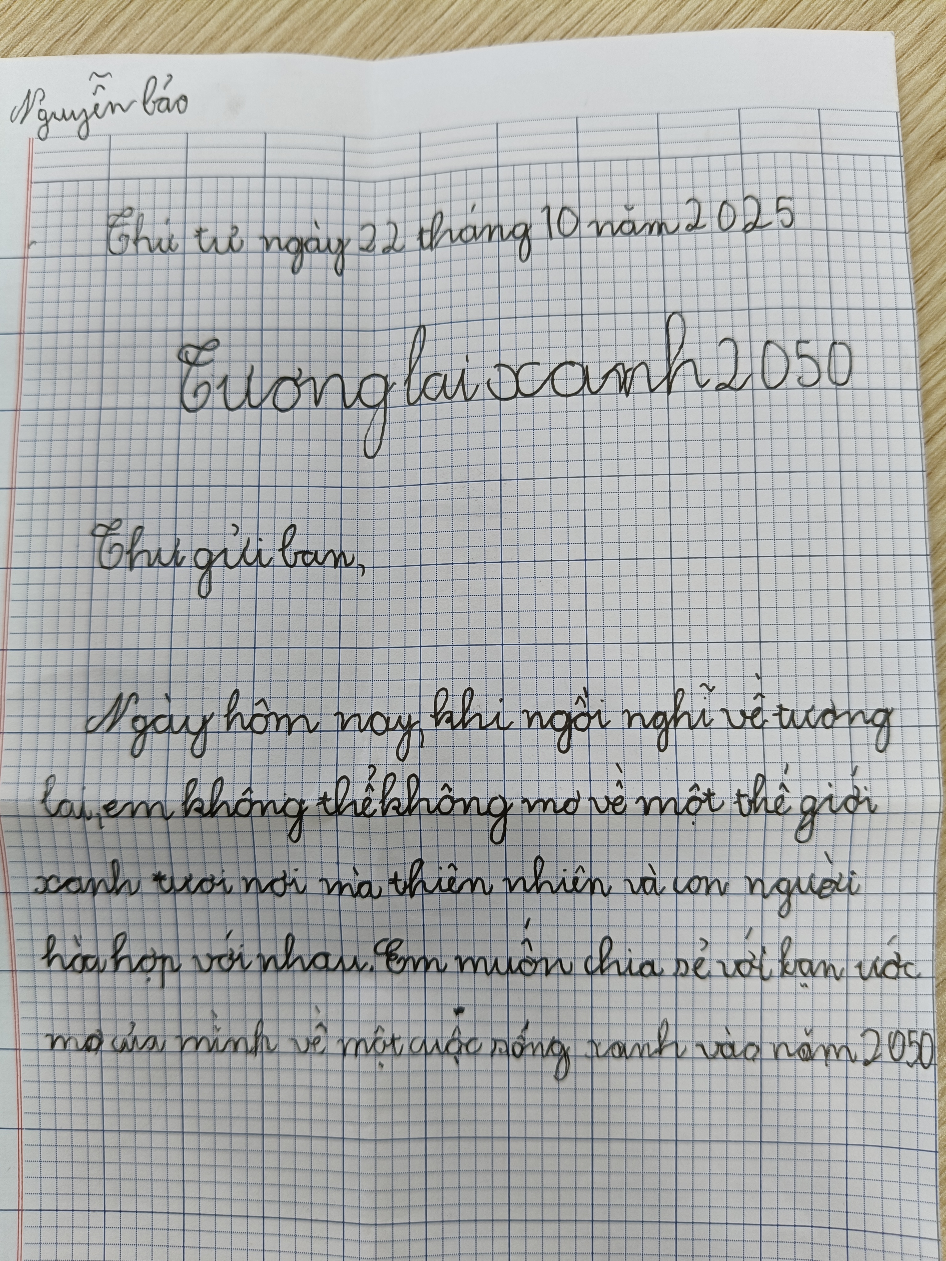 12. Nguyễn Bảo