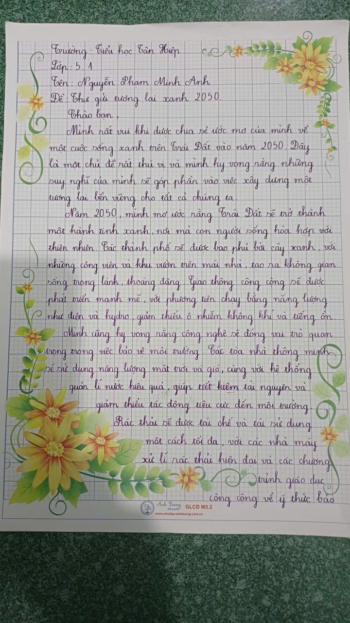 Nguyễn Phạm Minh Anh