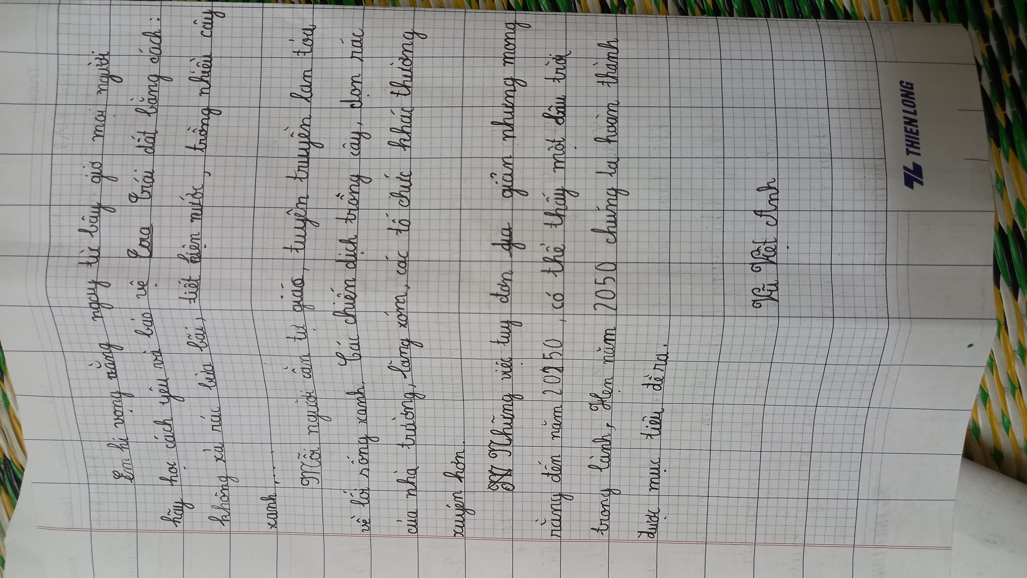 VŨ VIỆT ANH