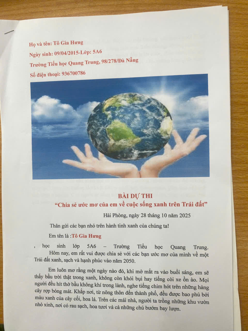 Tô Gia Hưng