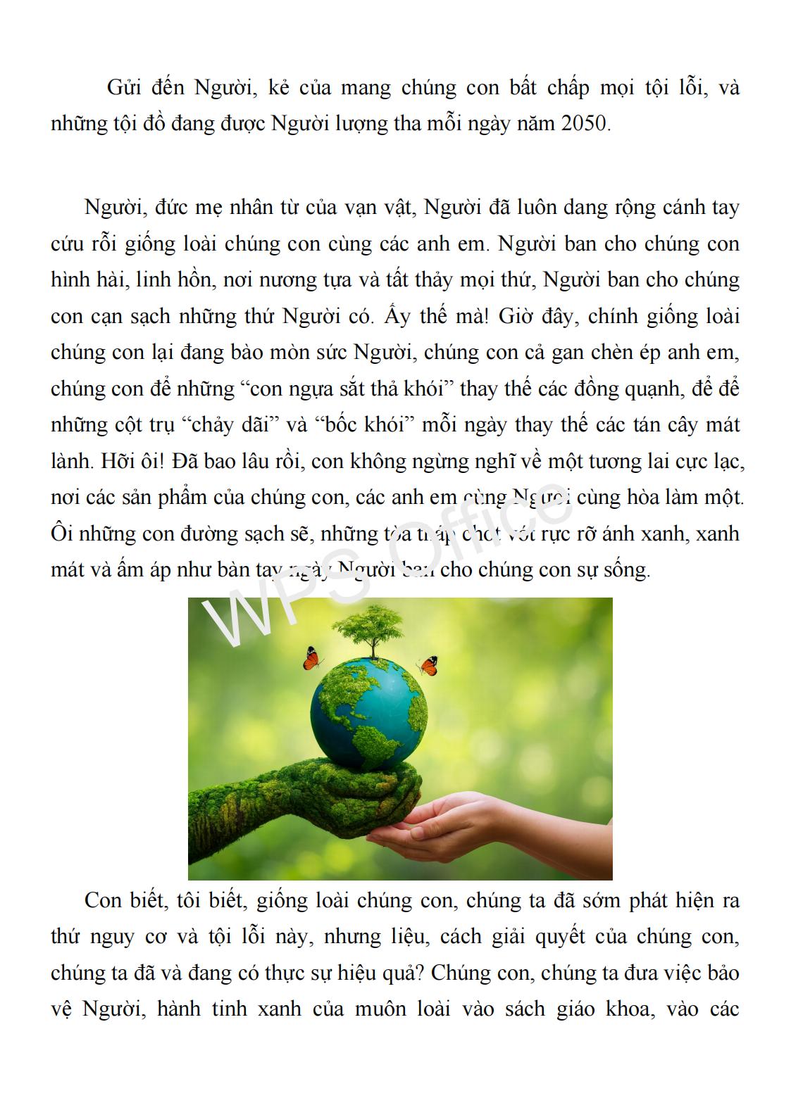 Phạm Trần Kỳ Nam