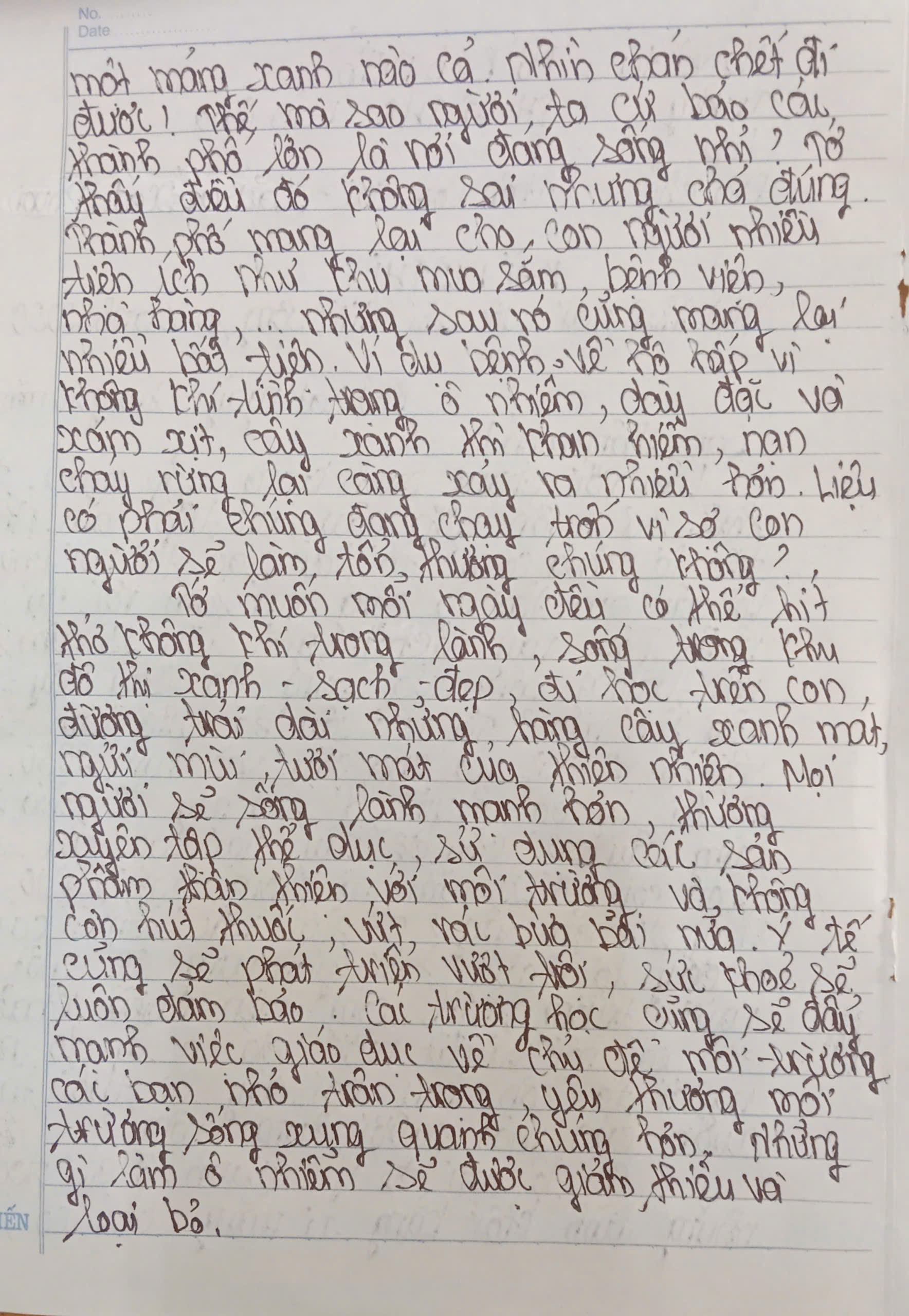 Hồ Bích Diễm