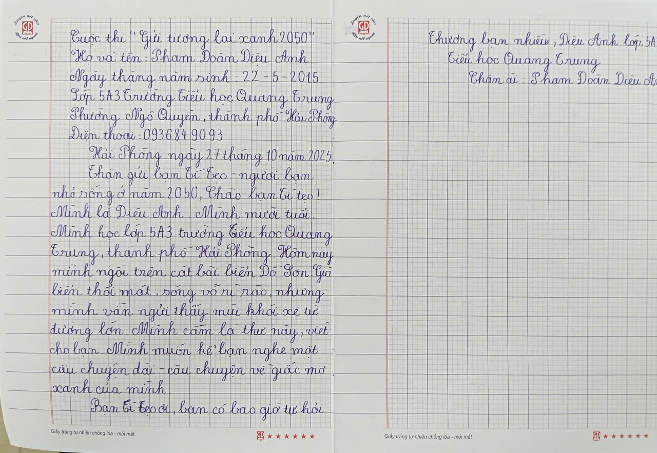 Phạm Đoàn Diệu Anh