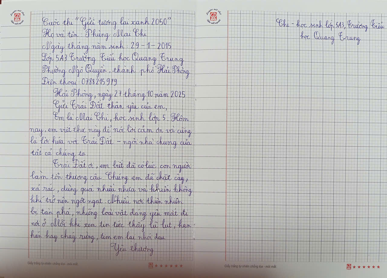 Phùng Mai Chi
