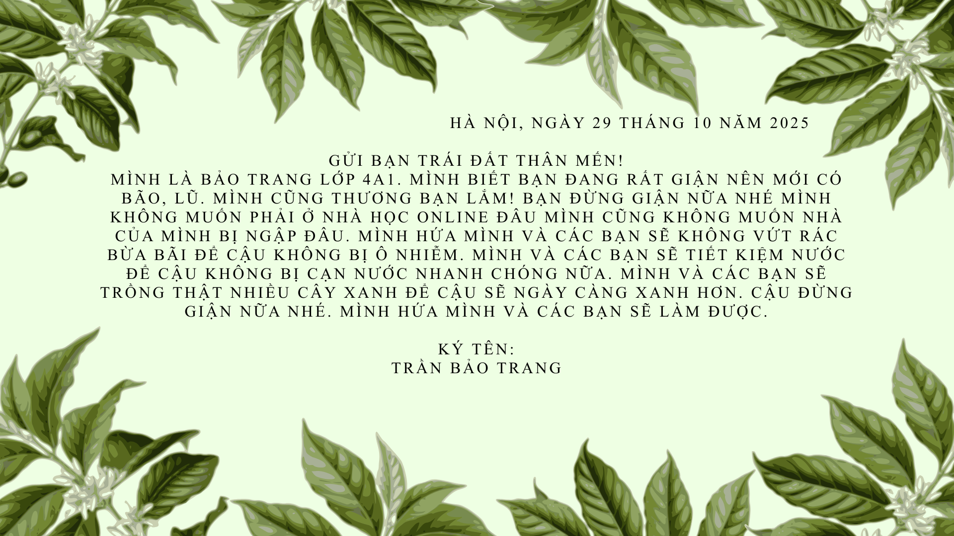 Trần Bảo Trang