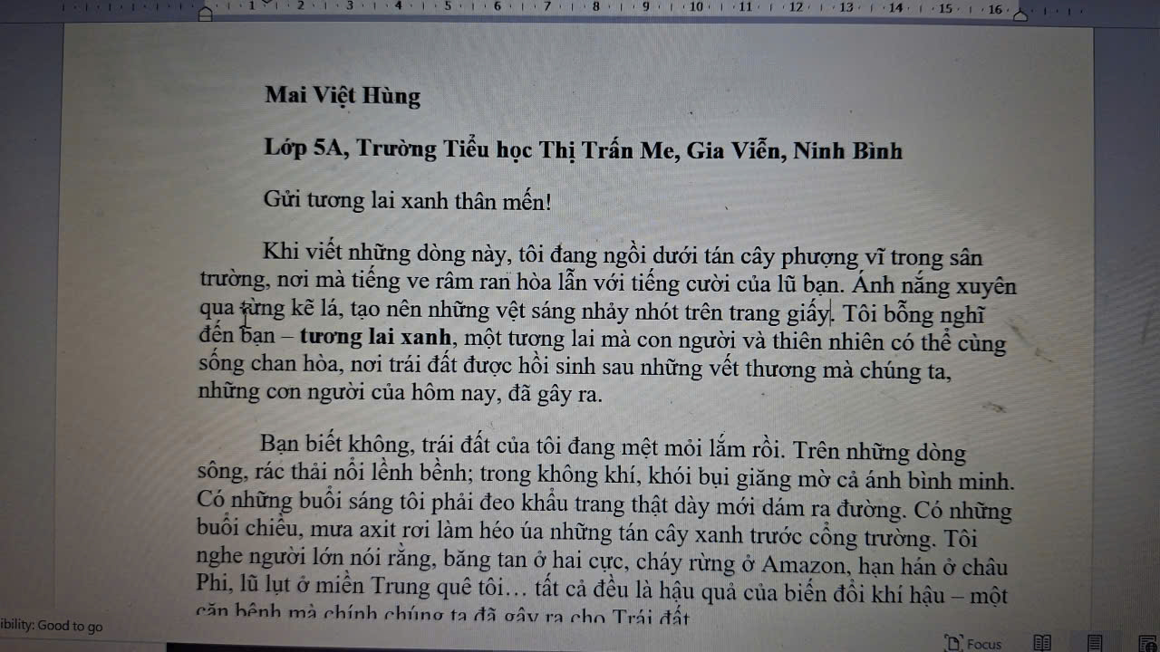 Mai Việt Hùng
