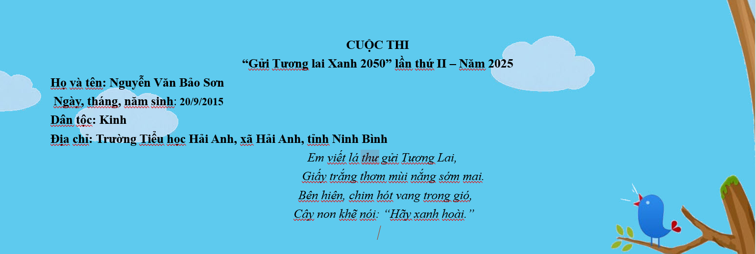 Nguyễn Văn Bảo Sơn