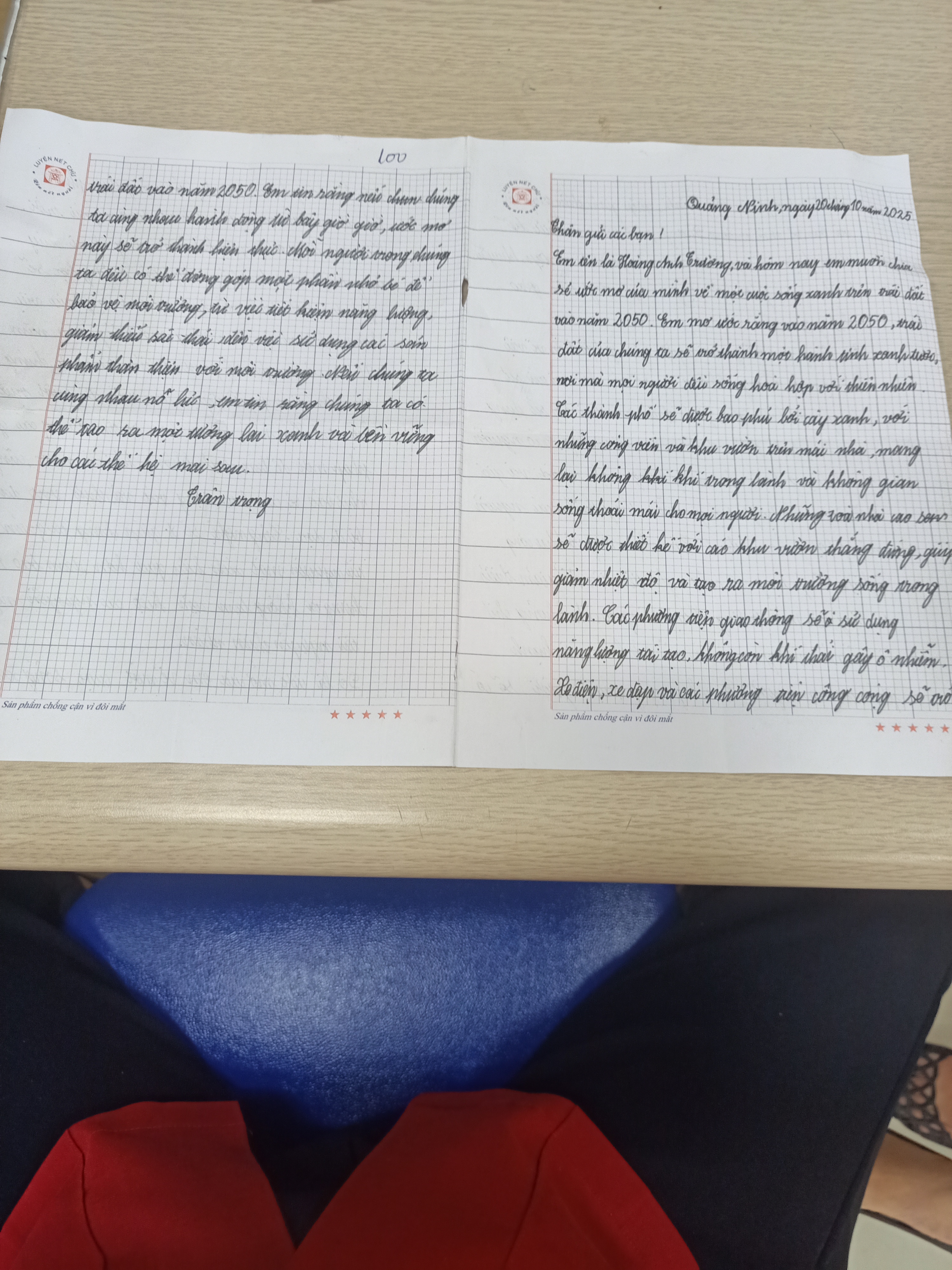 100 Hoàng Anh Trường